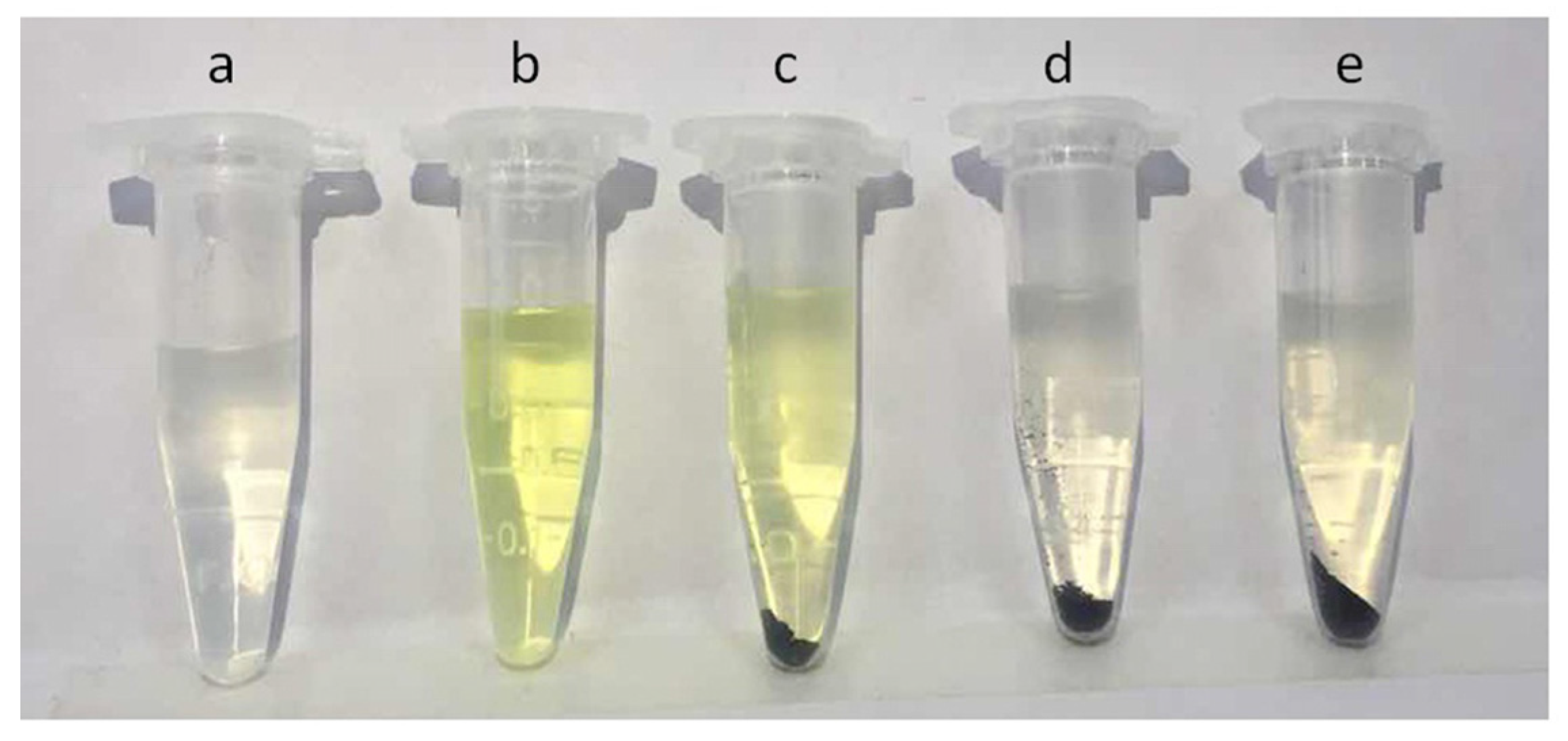 Catalysts 07 00049 g004