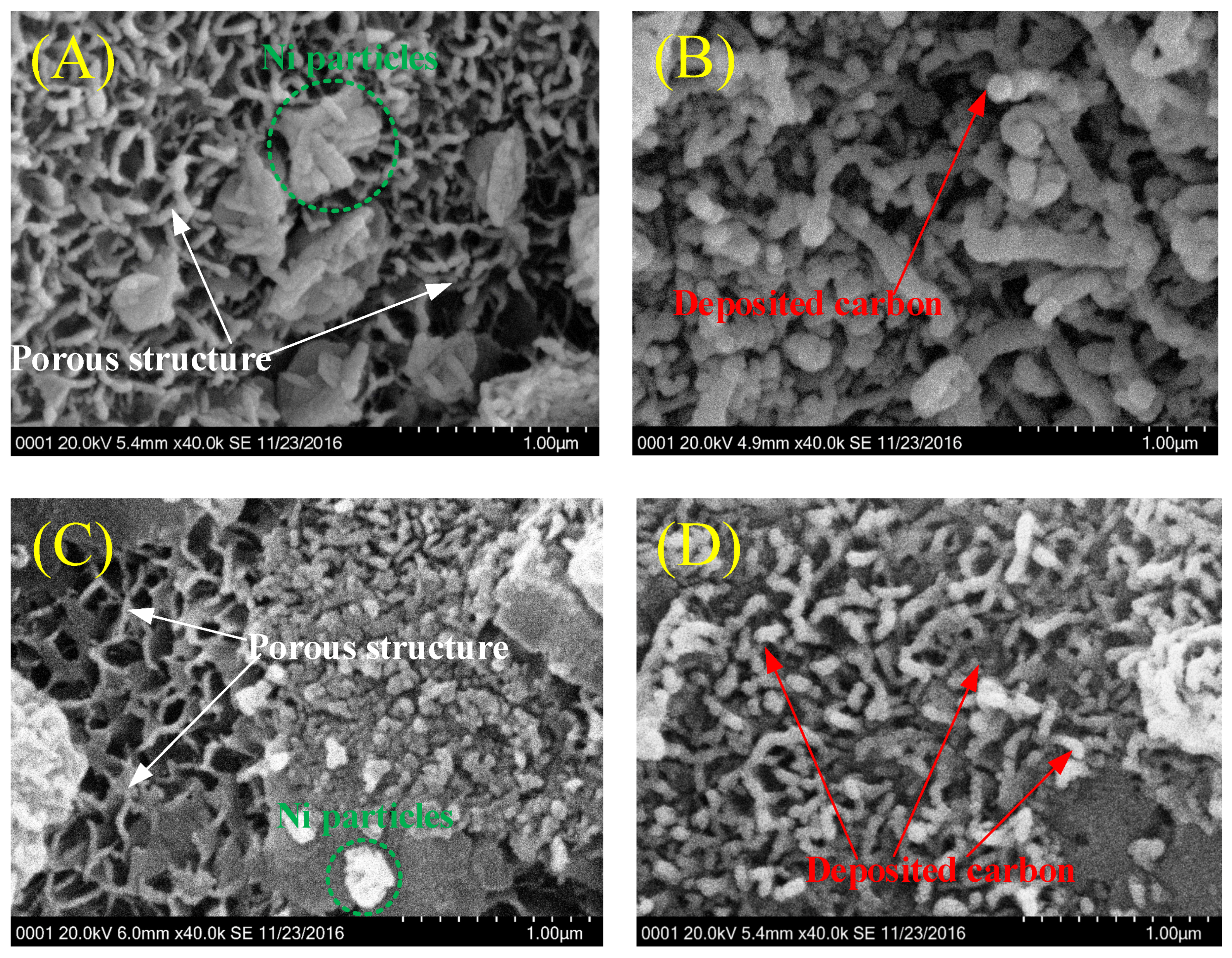Catalysts 07 00051 g010