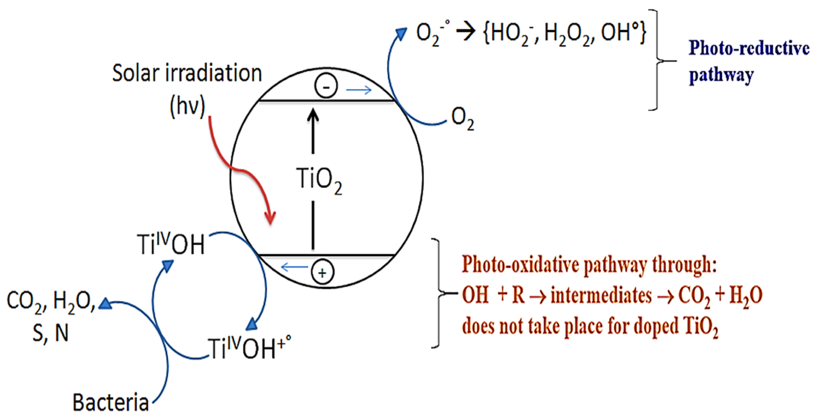 Catalysts 07 00057 g002