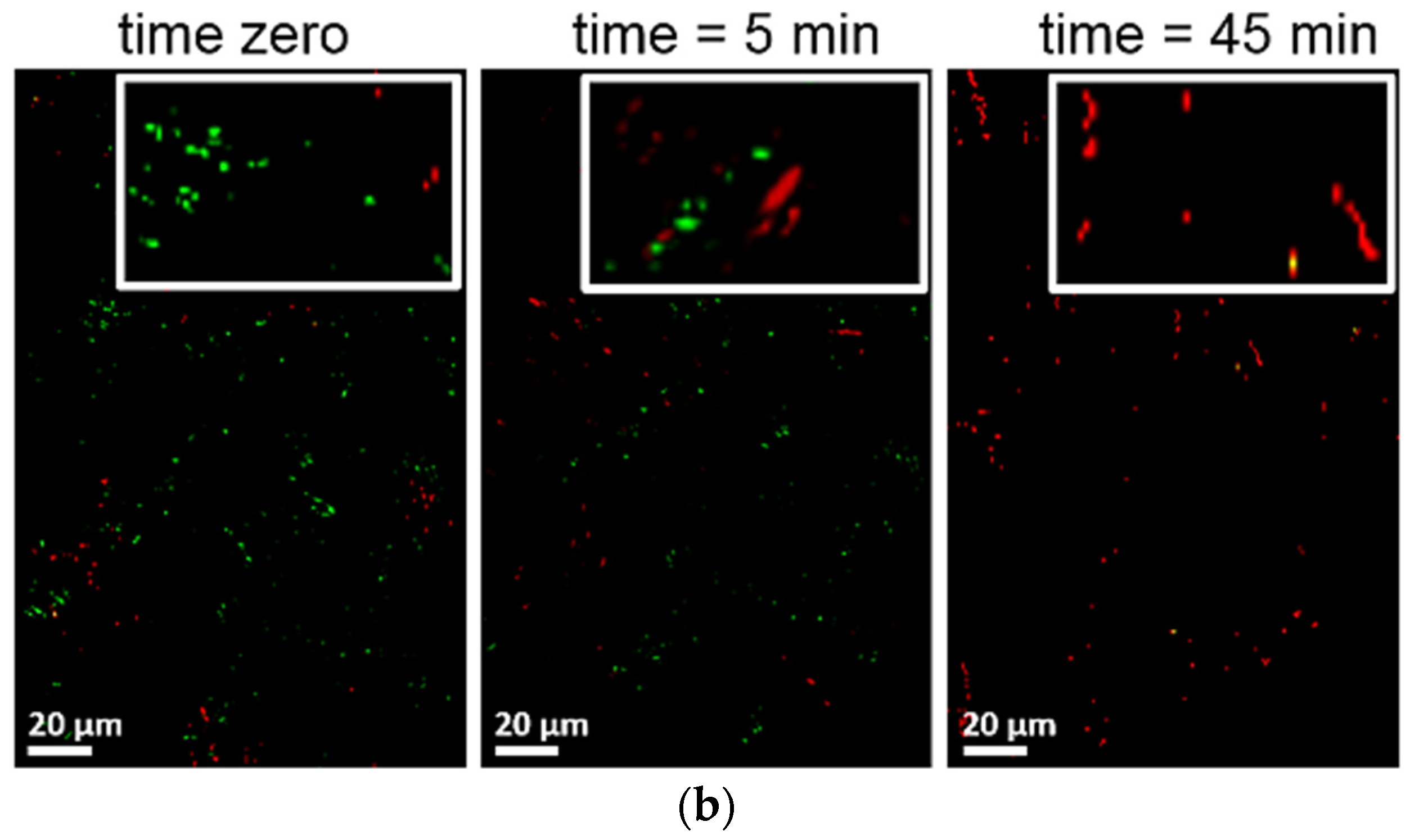 Catalysts 07 00057 g005b