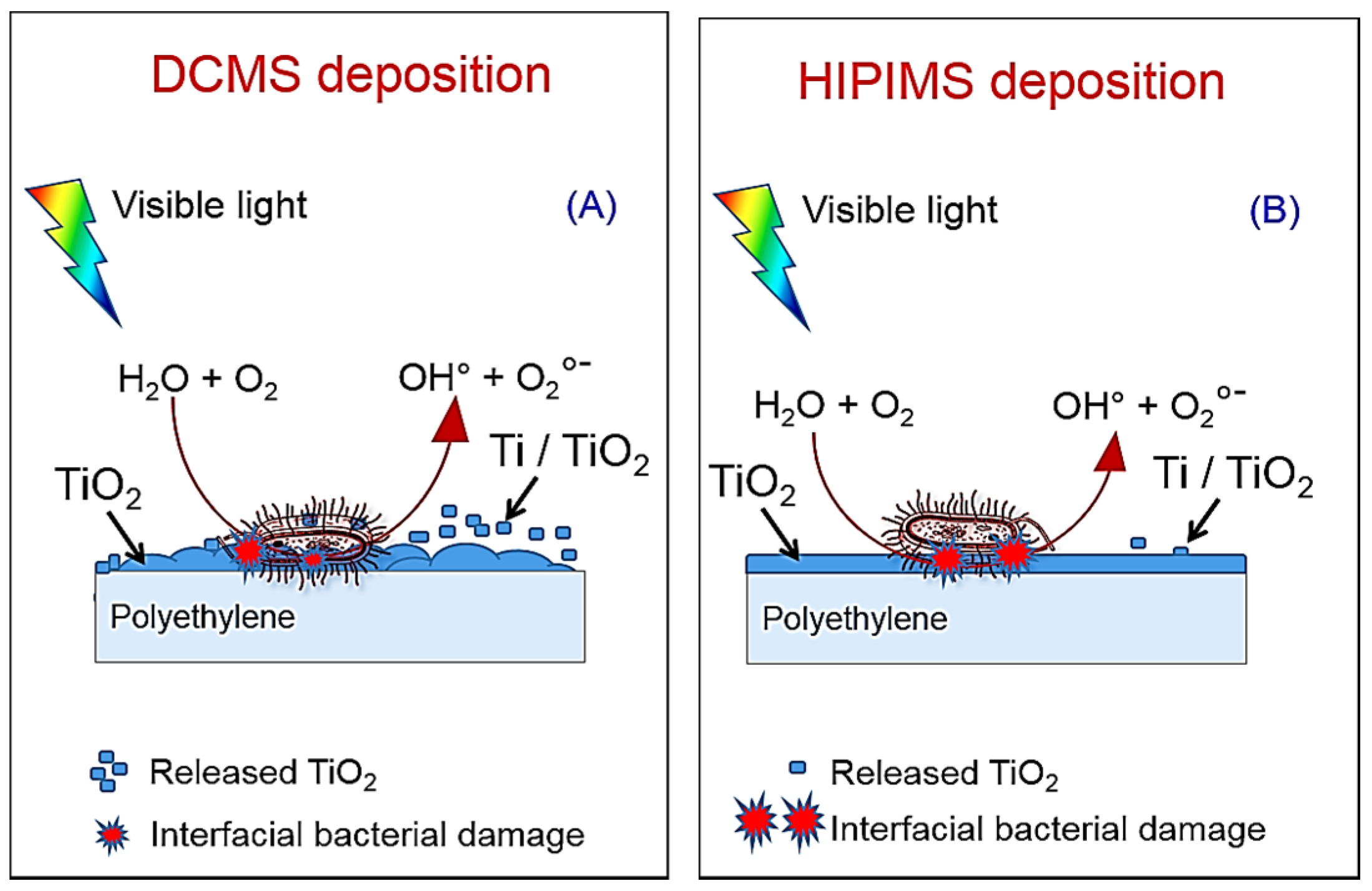 Catalysts 07 00057 g006