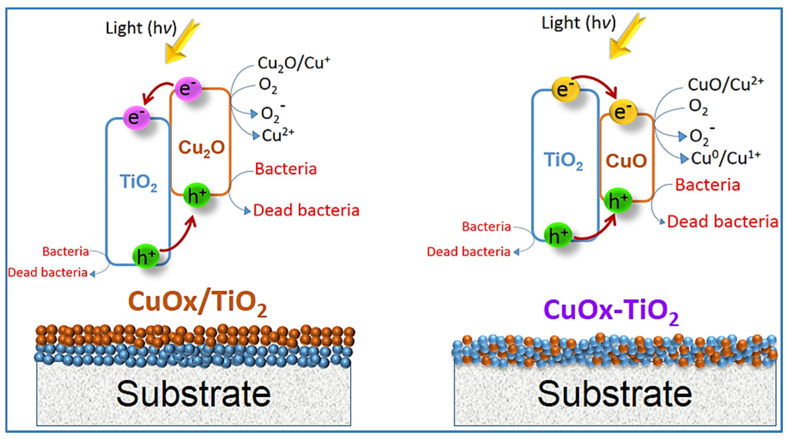 Catalysts 07 00057 g007