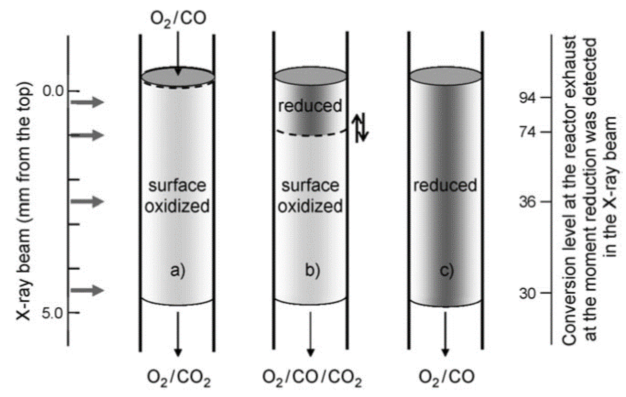 Catalysts 07 00058 g013