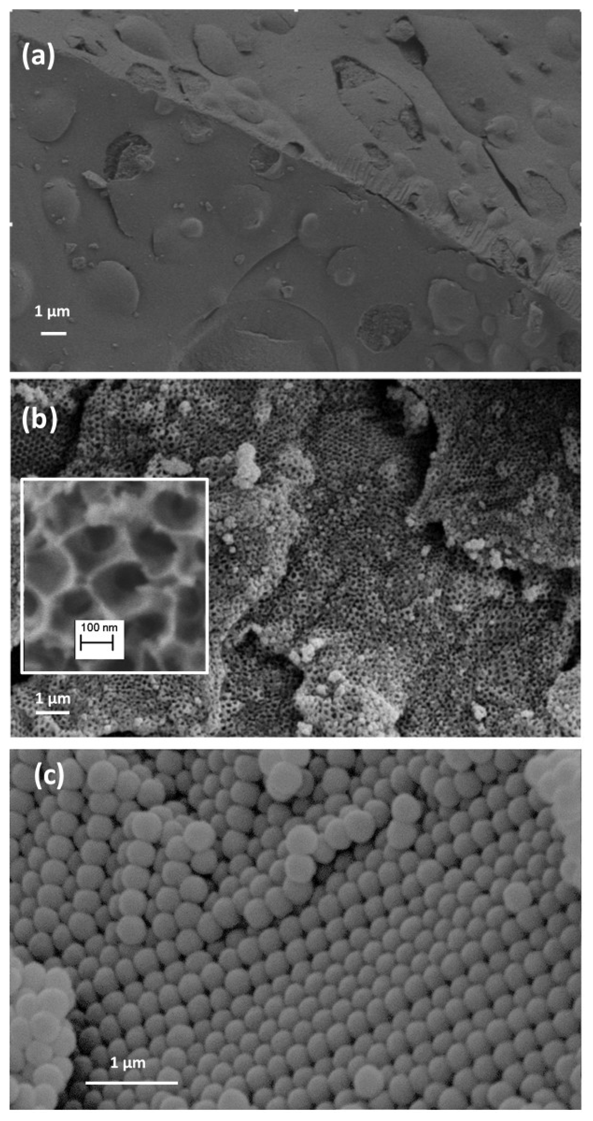 Catalysts 07 00067 g005