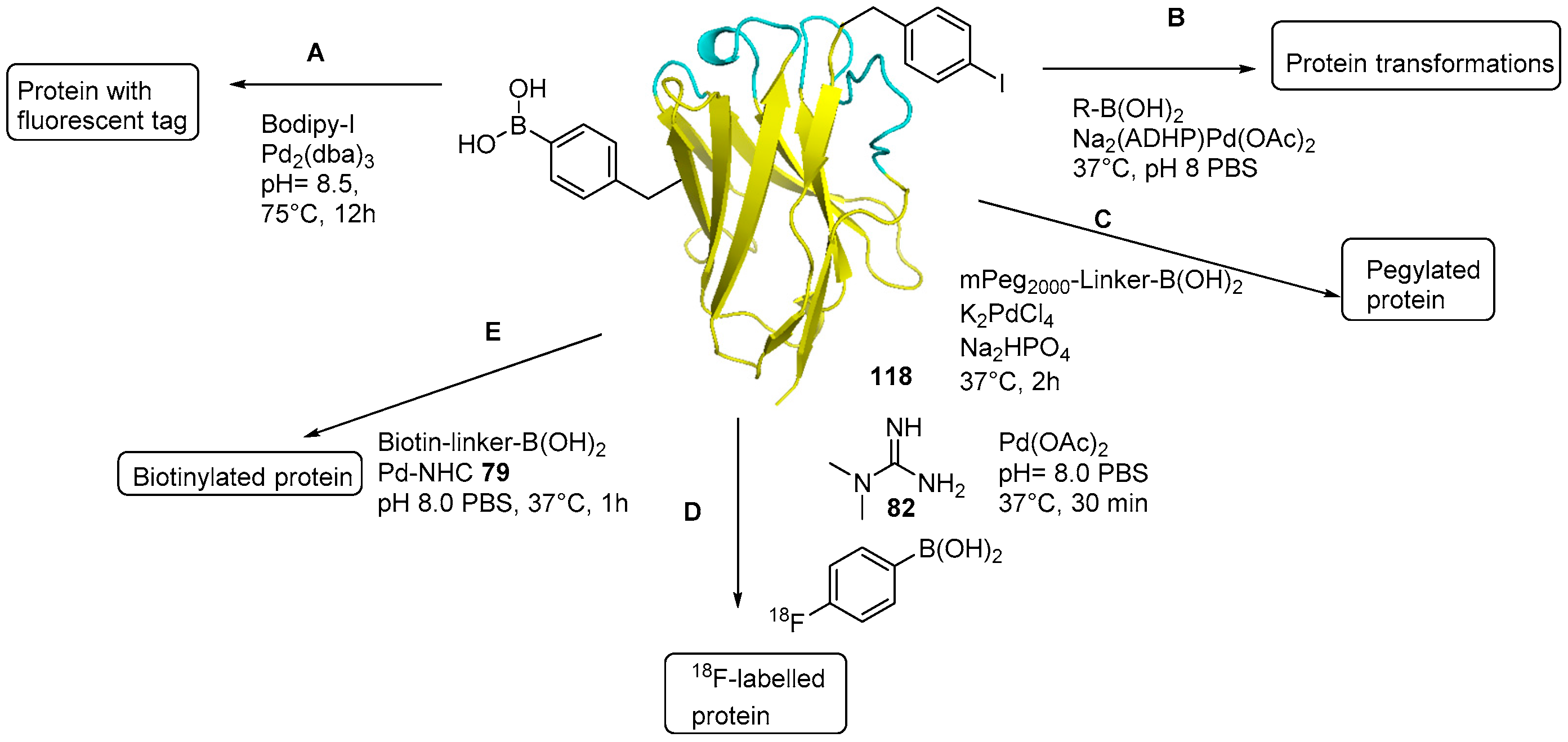 Catalysts 07 00074 g017