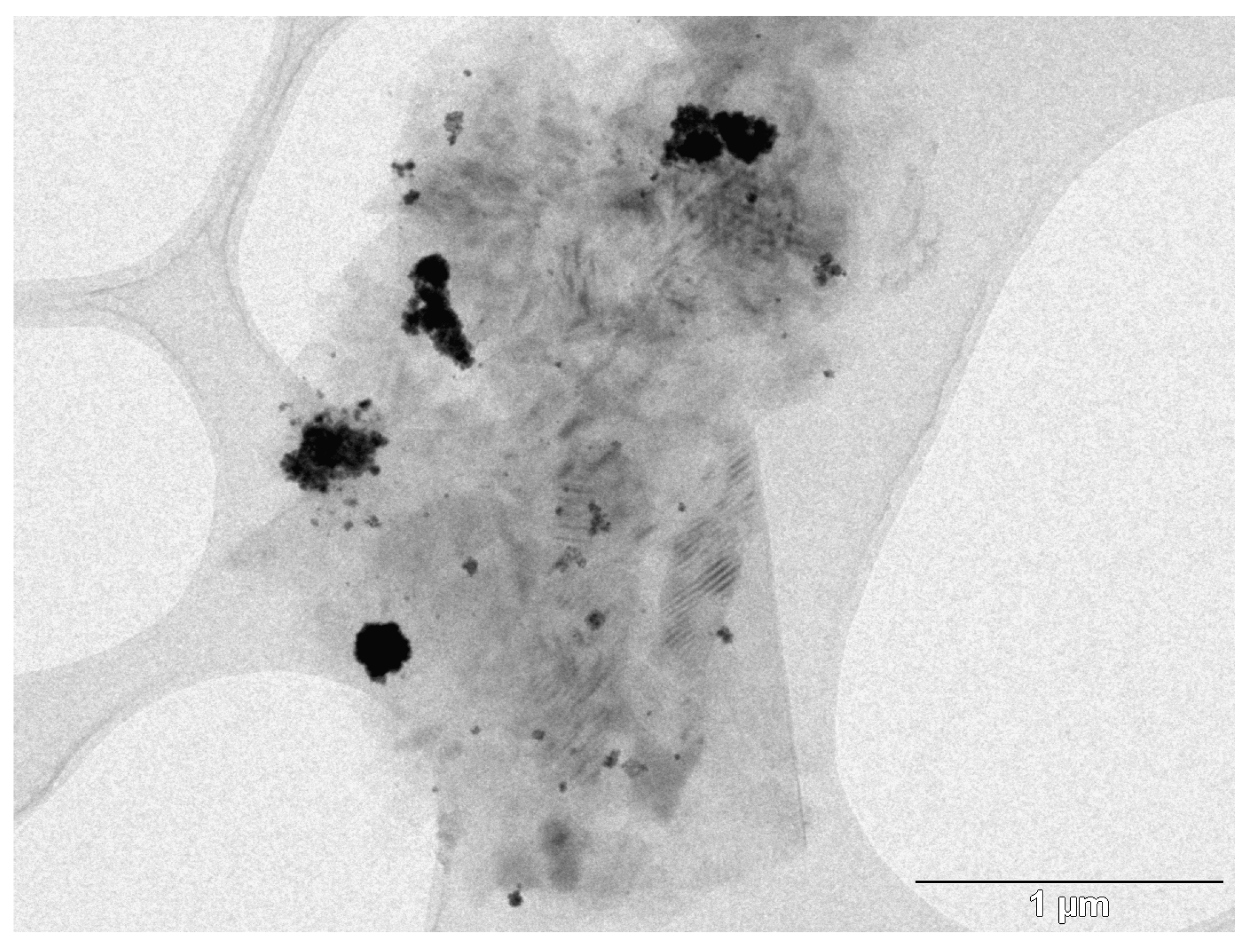 Catalysts 07 00076 g006