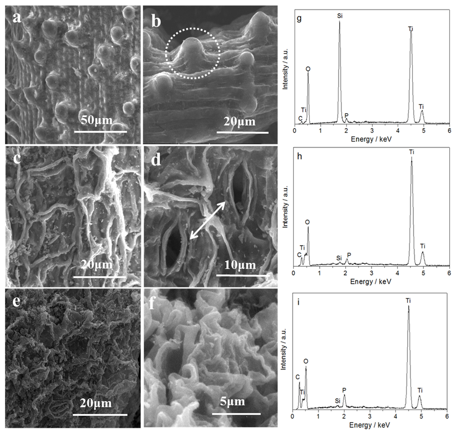 Catalysts 07 00082 g004