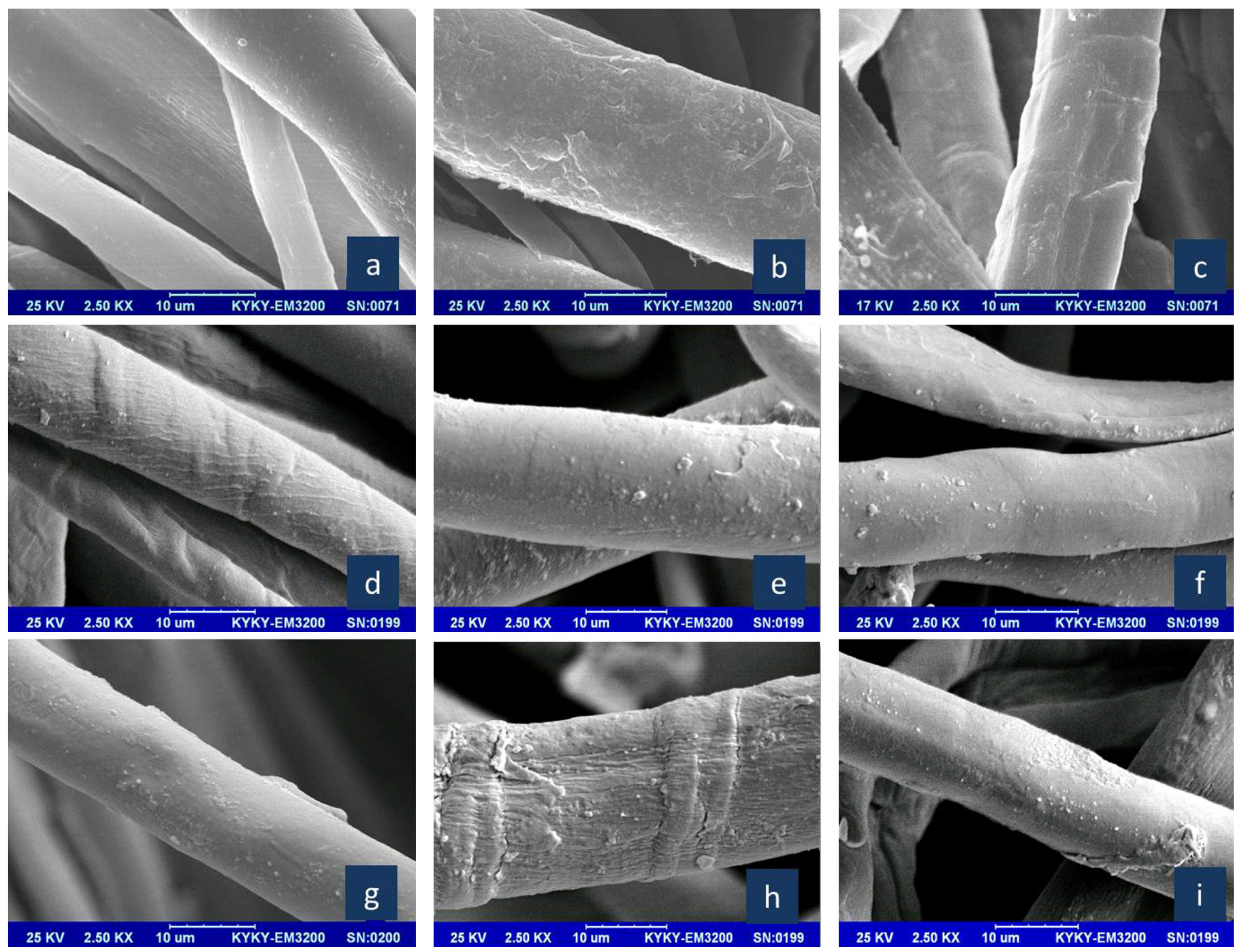 Catalysts 07 00100 g012