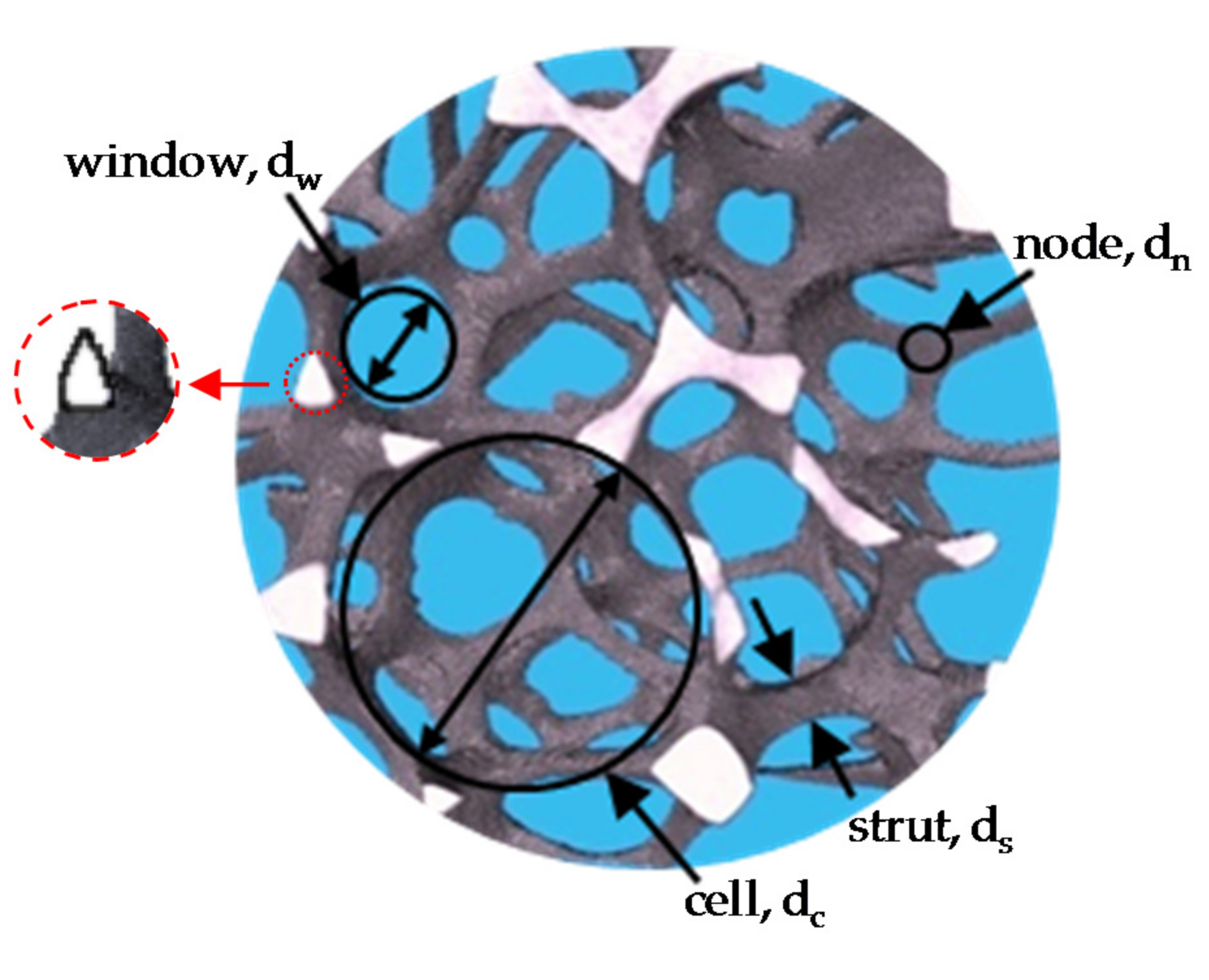 Catalysts 07 00124 g001