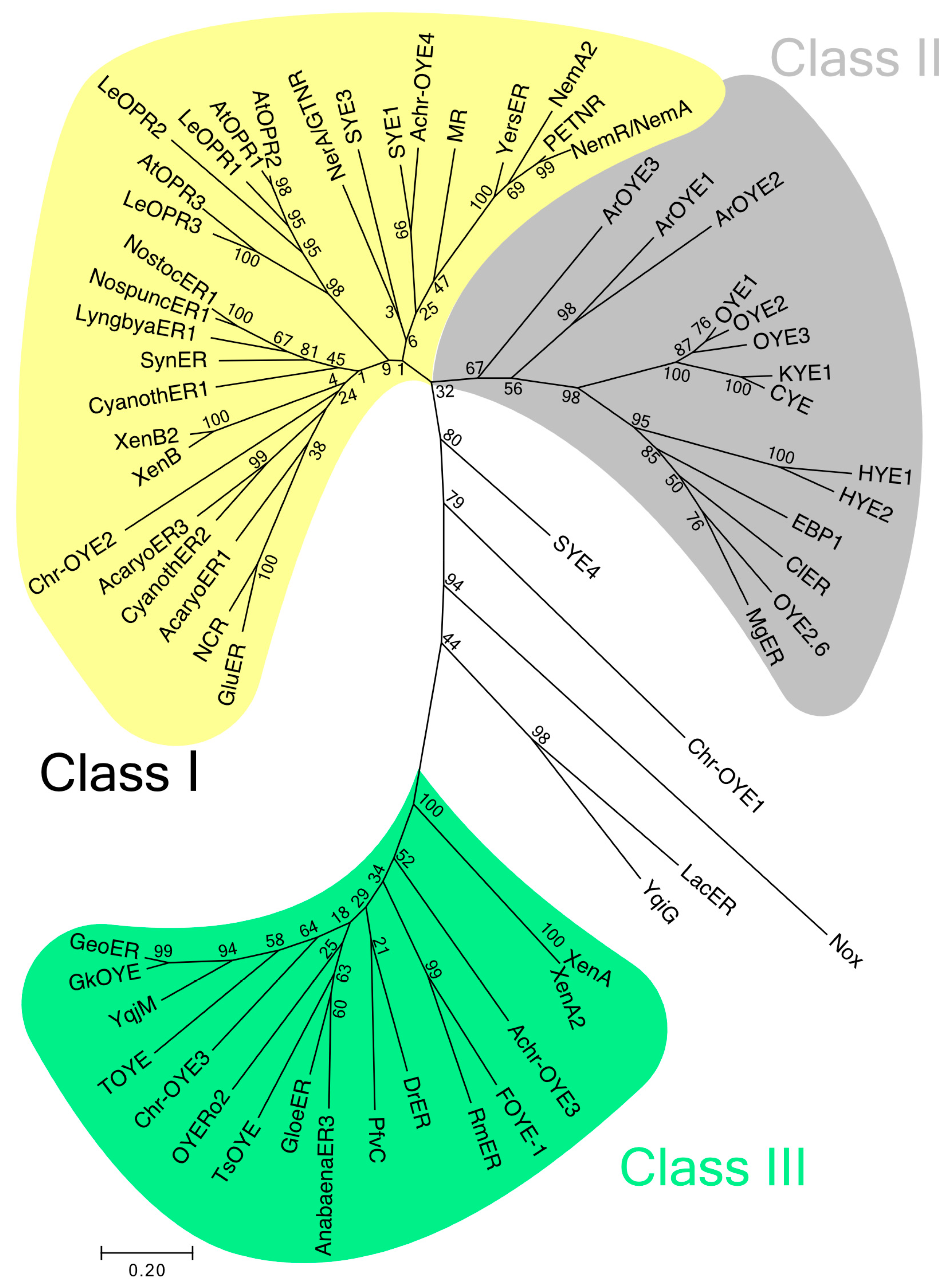 Catalysts 07 00130 g002 550