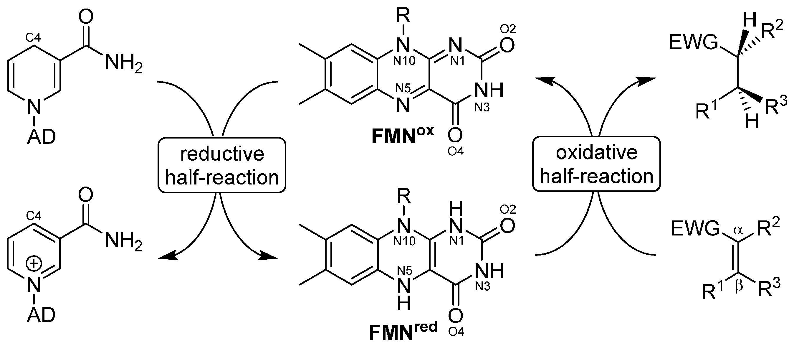Catalysts 07 00130 sch001 550