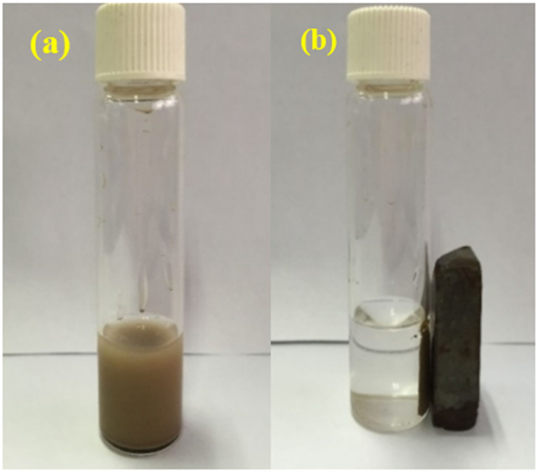 Catalysts 07 00131 g002