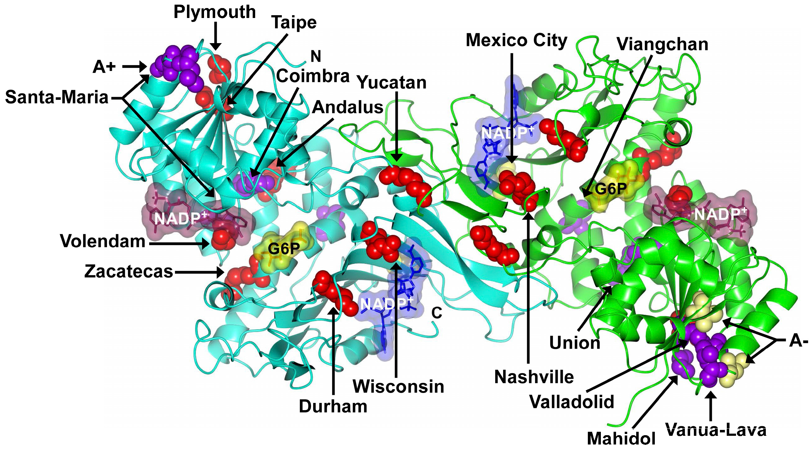 Catalysts 07 00135 g002 550