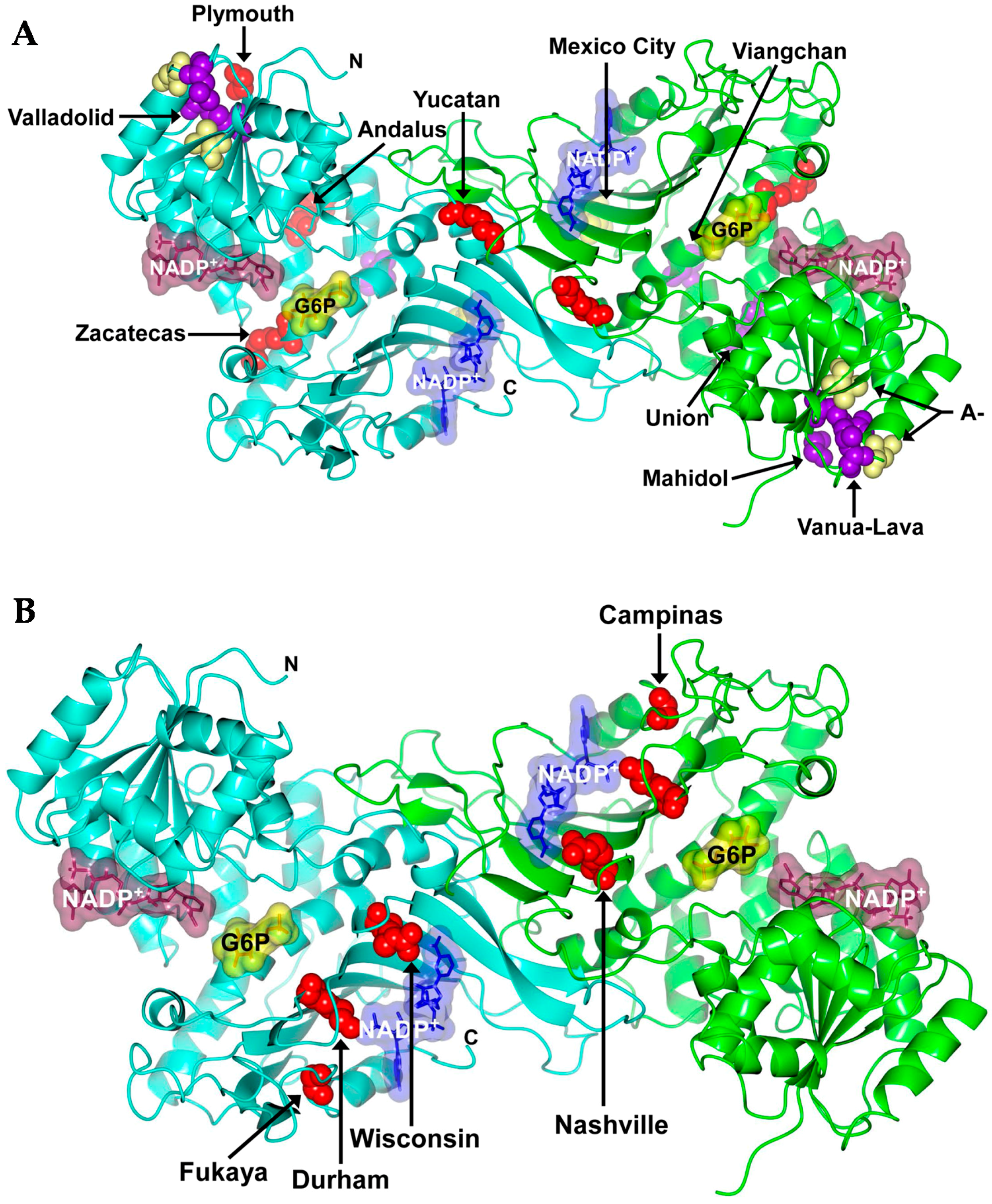 Catalysts 07 00135 g003 550