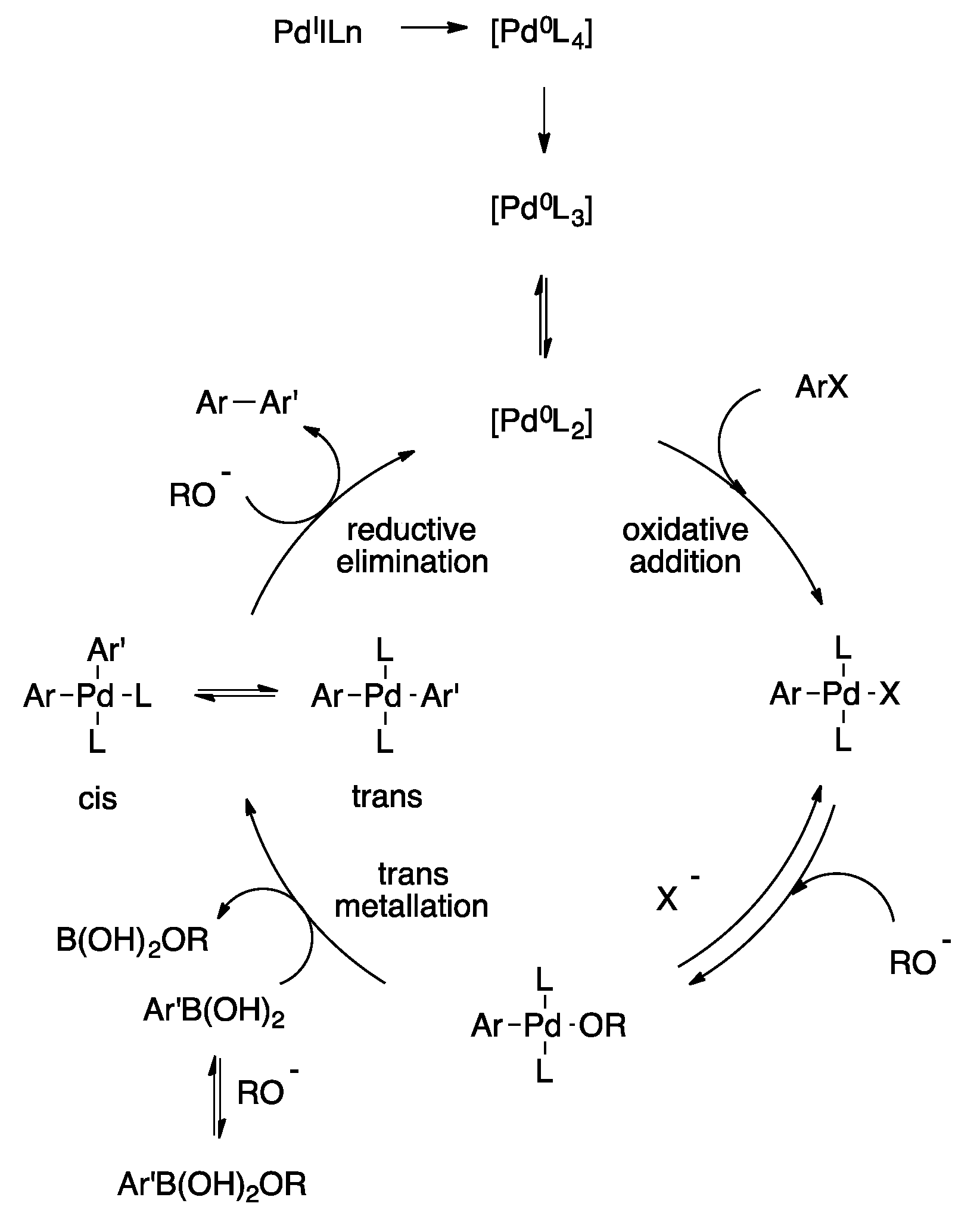 merkte nicht Koks Lautsprecher cross coupling mechanism Blutig