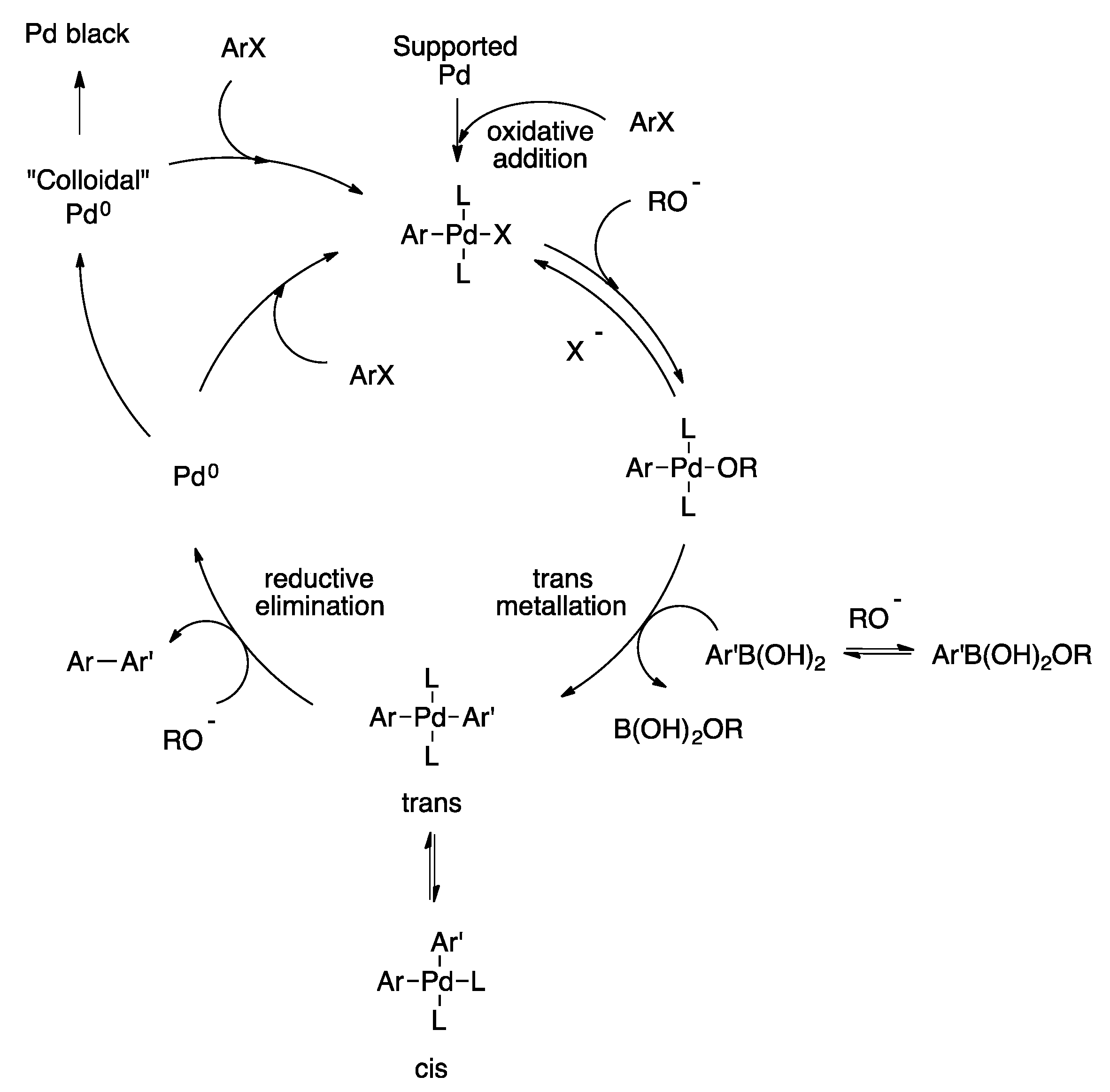 Catalysts 07 00146 sch002