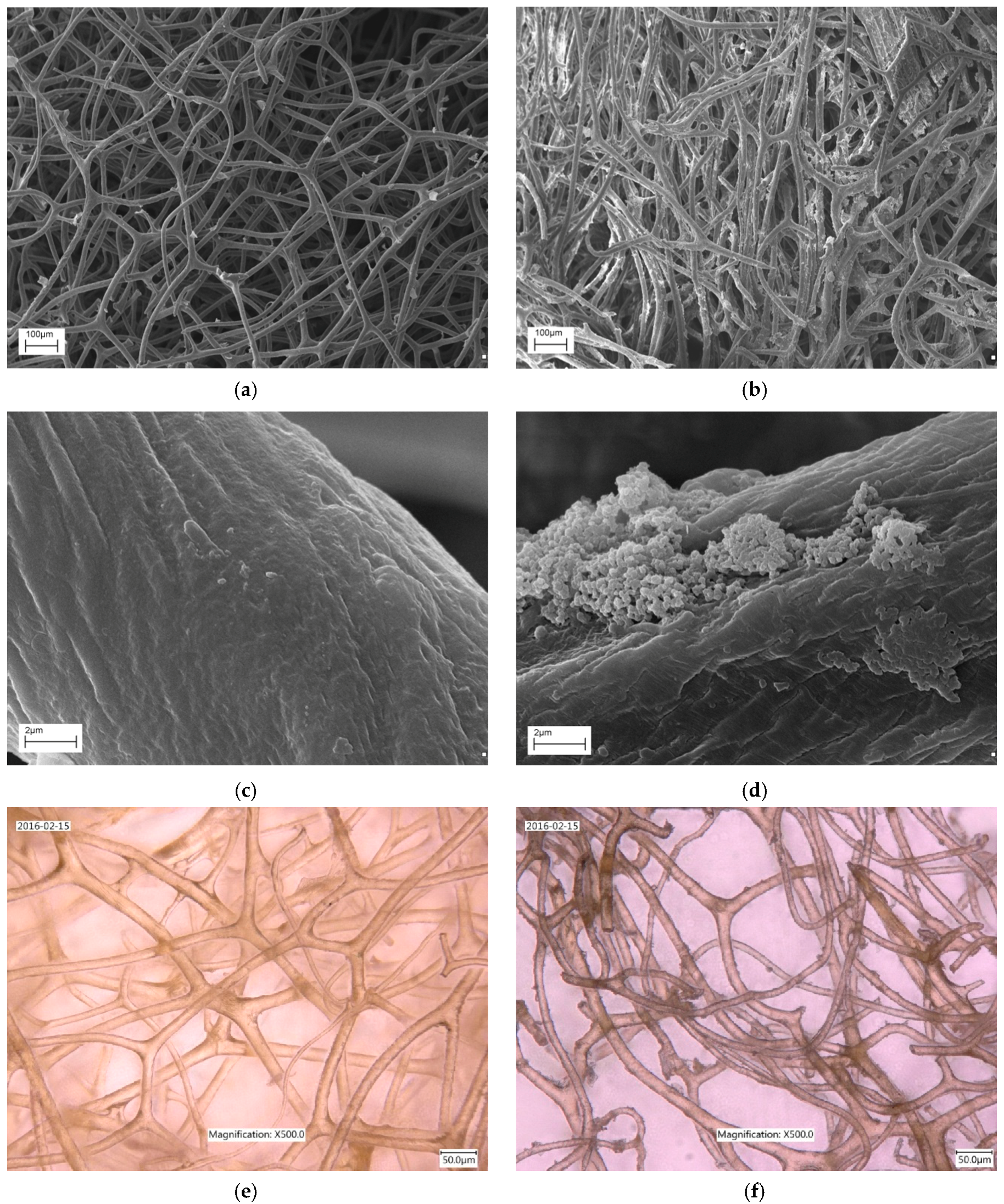 Catalysts 07 00147 g001