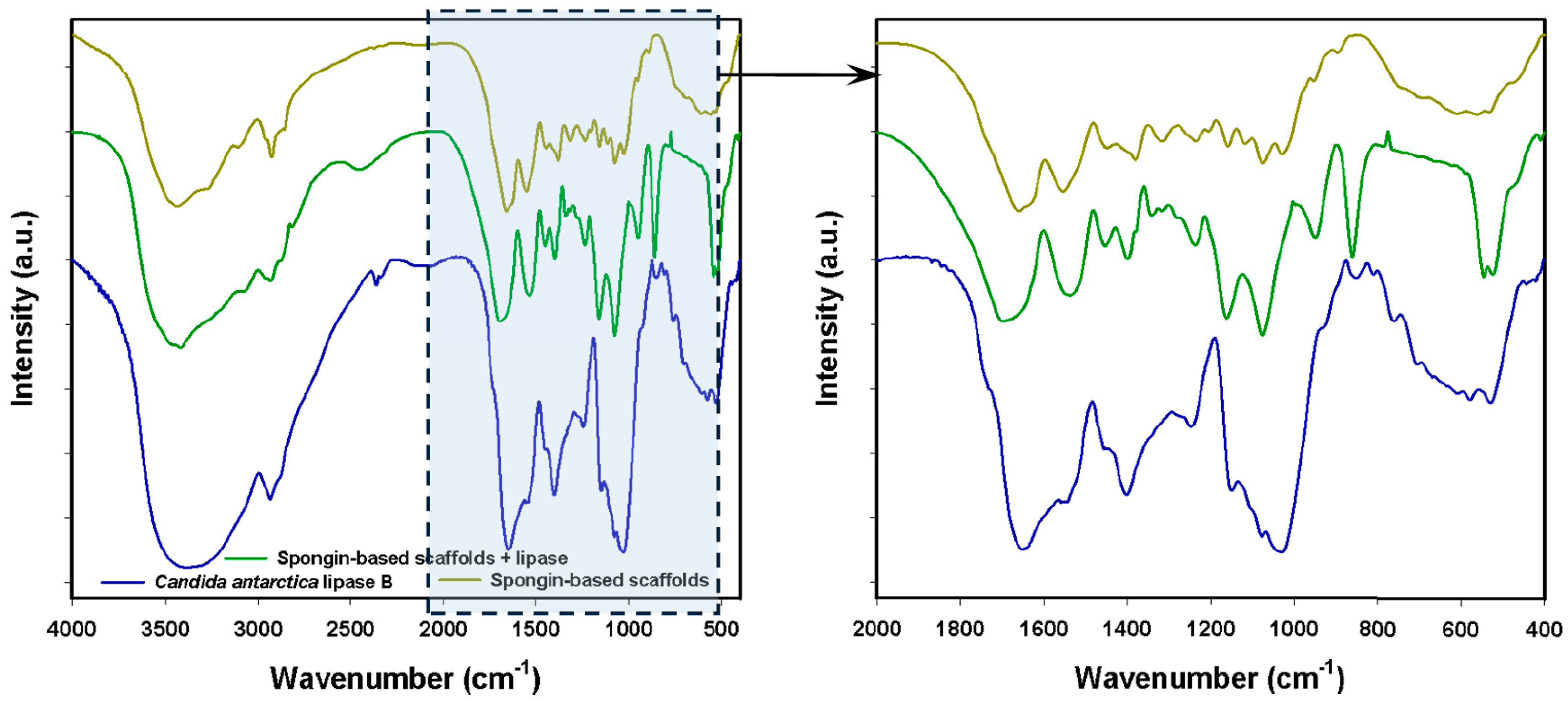 Catalysts 07 00147 g002