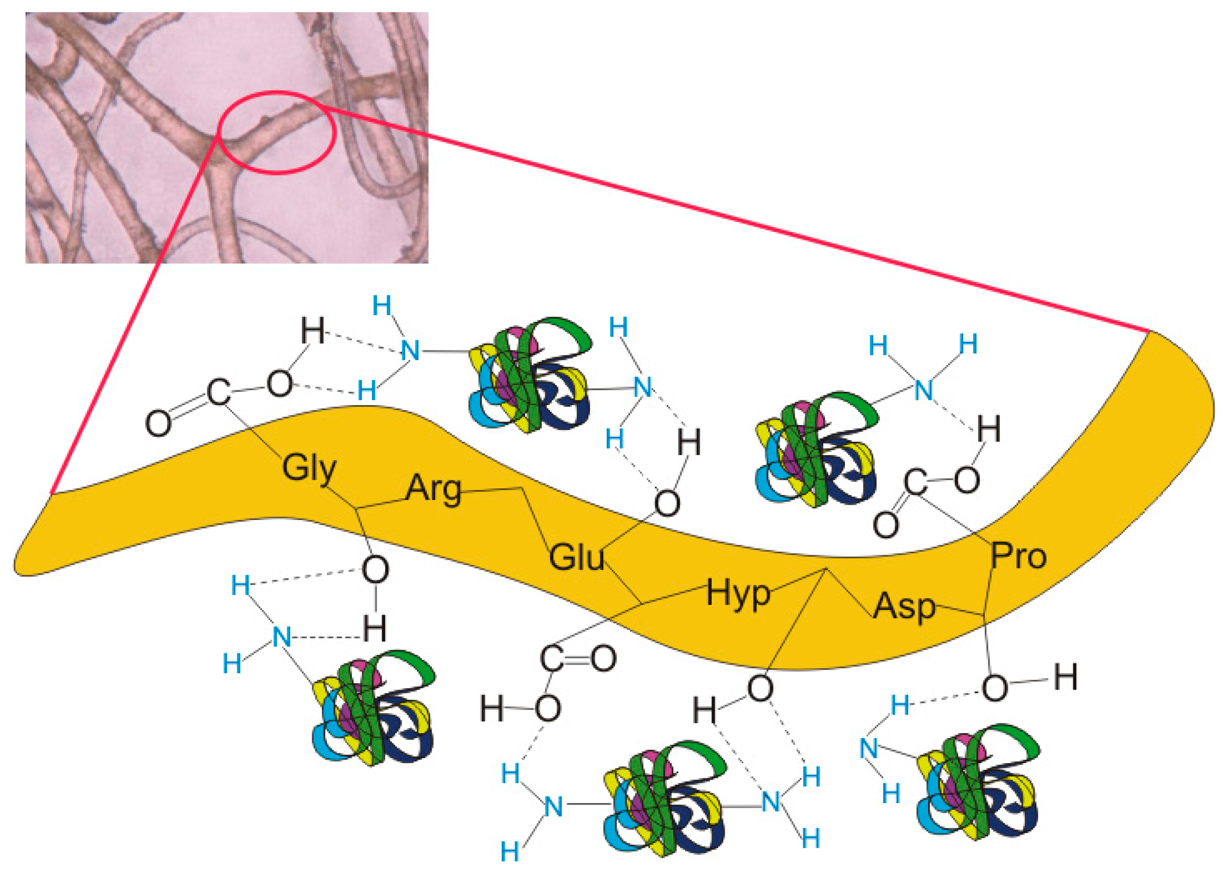 Catalysts 07 00147 g006