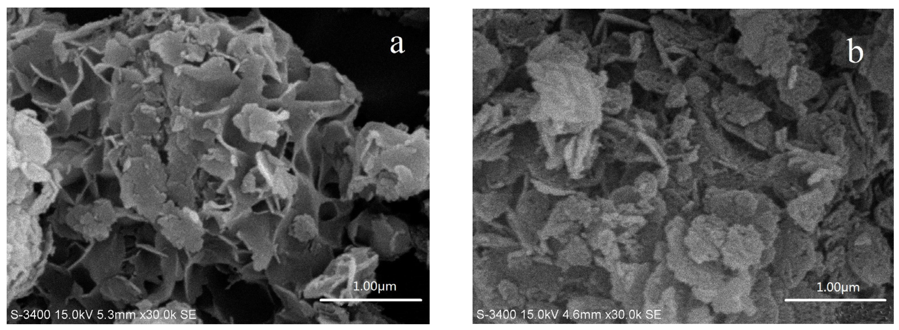 Catalysts 07 00155 g007