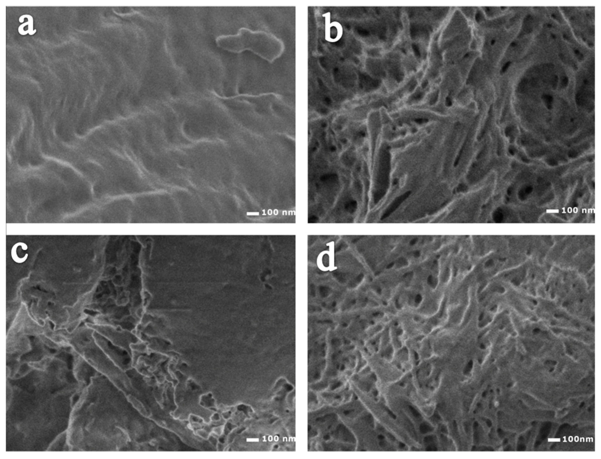 Catalysts 07 00162 g005