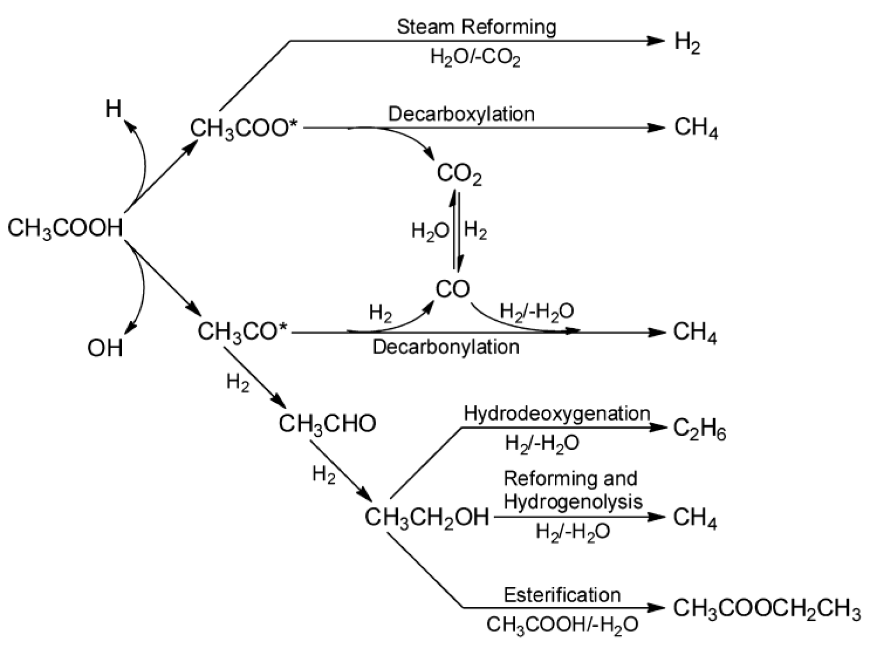 Catalysts 07 00169 g004