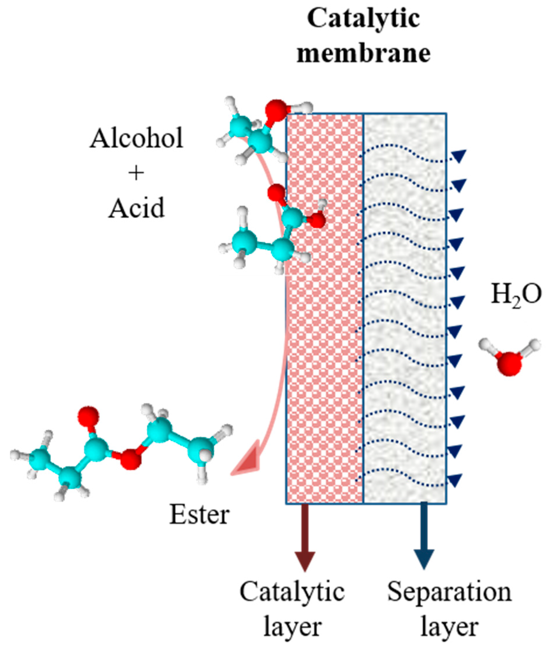two tank approach pervaporation