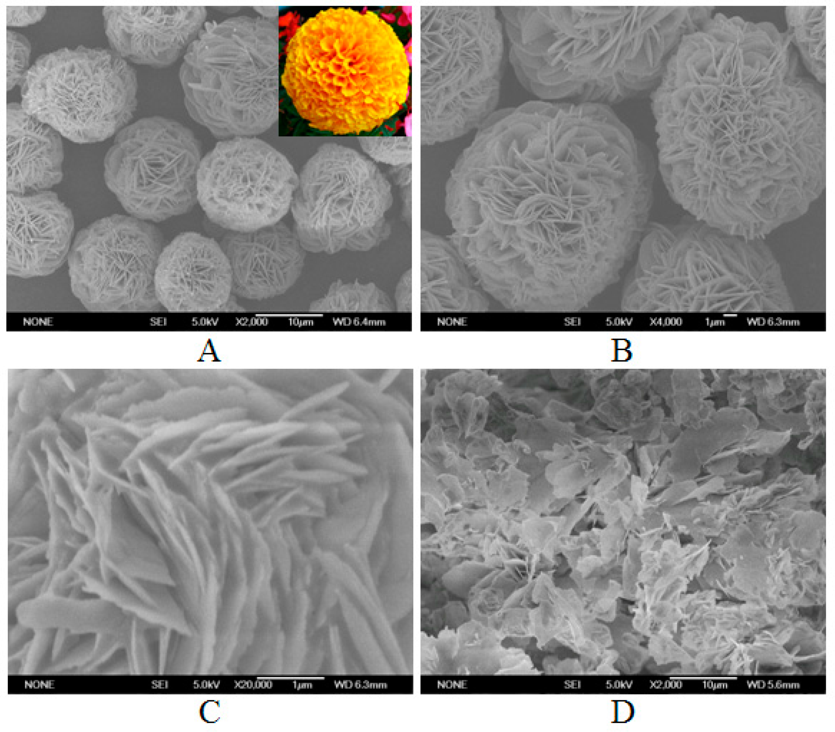 Catalysts 07 00188 g001