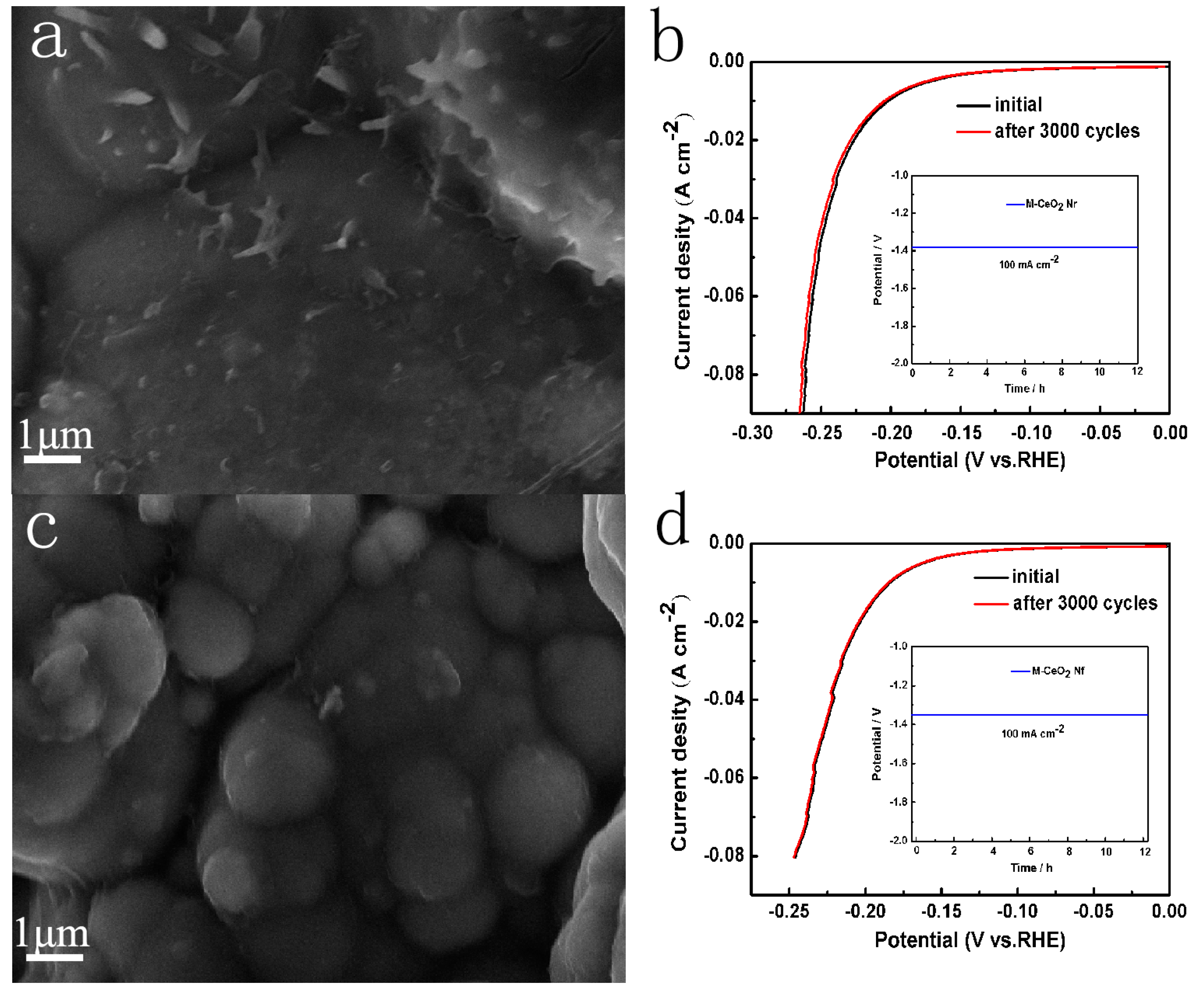 Catalysts 07 00197 g005