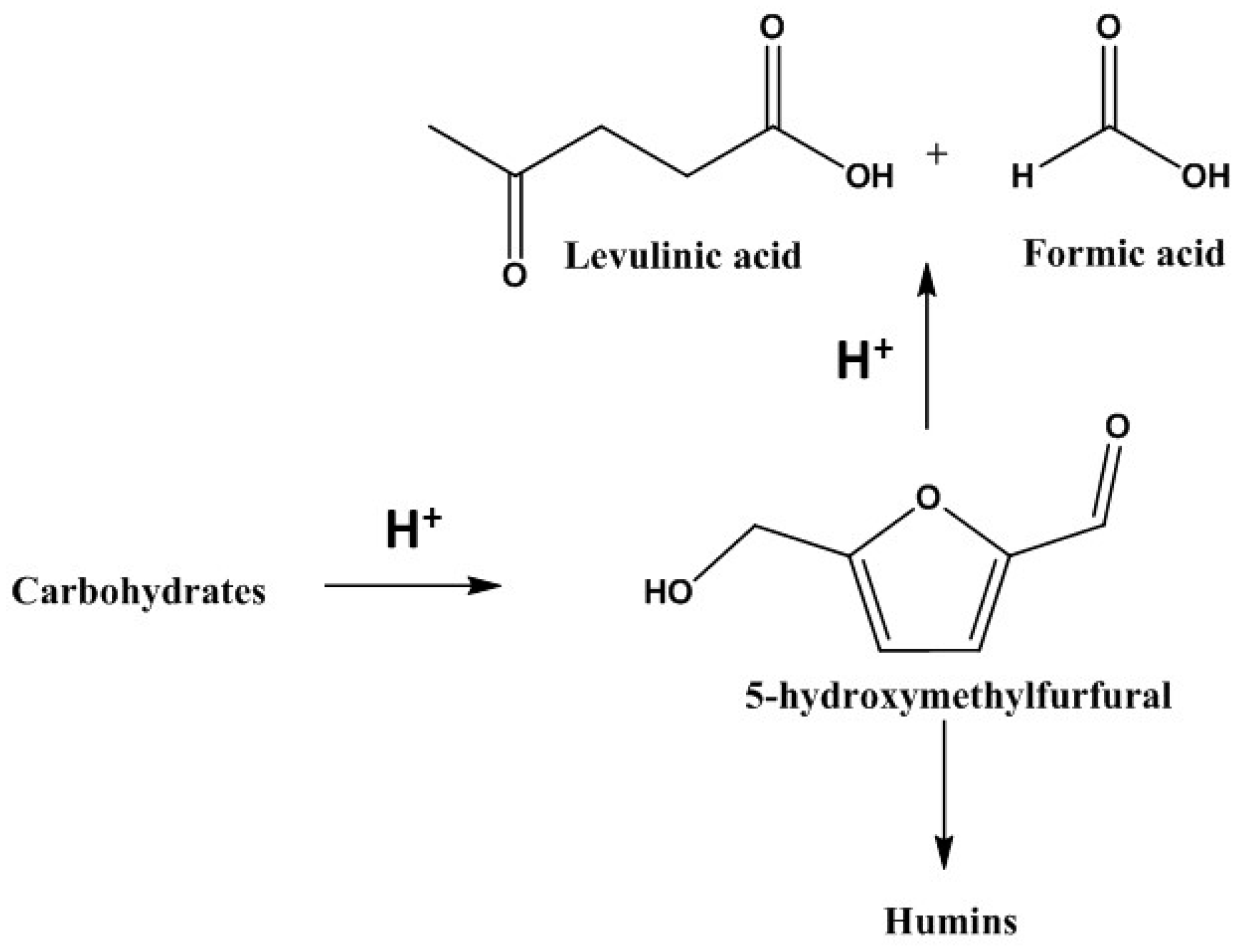 Choline Chloride Uses In Veterinary Brain Mind Article