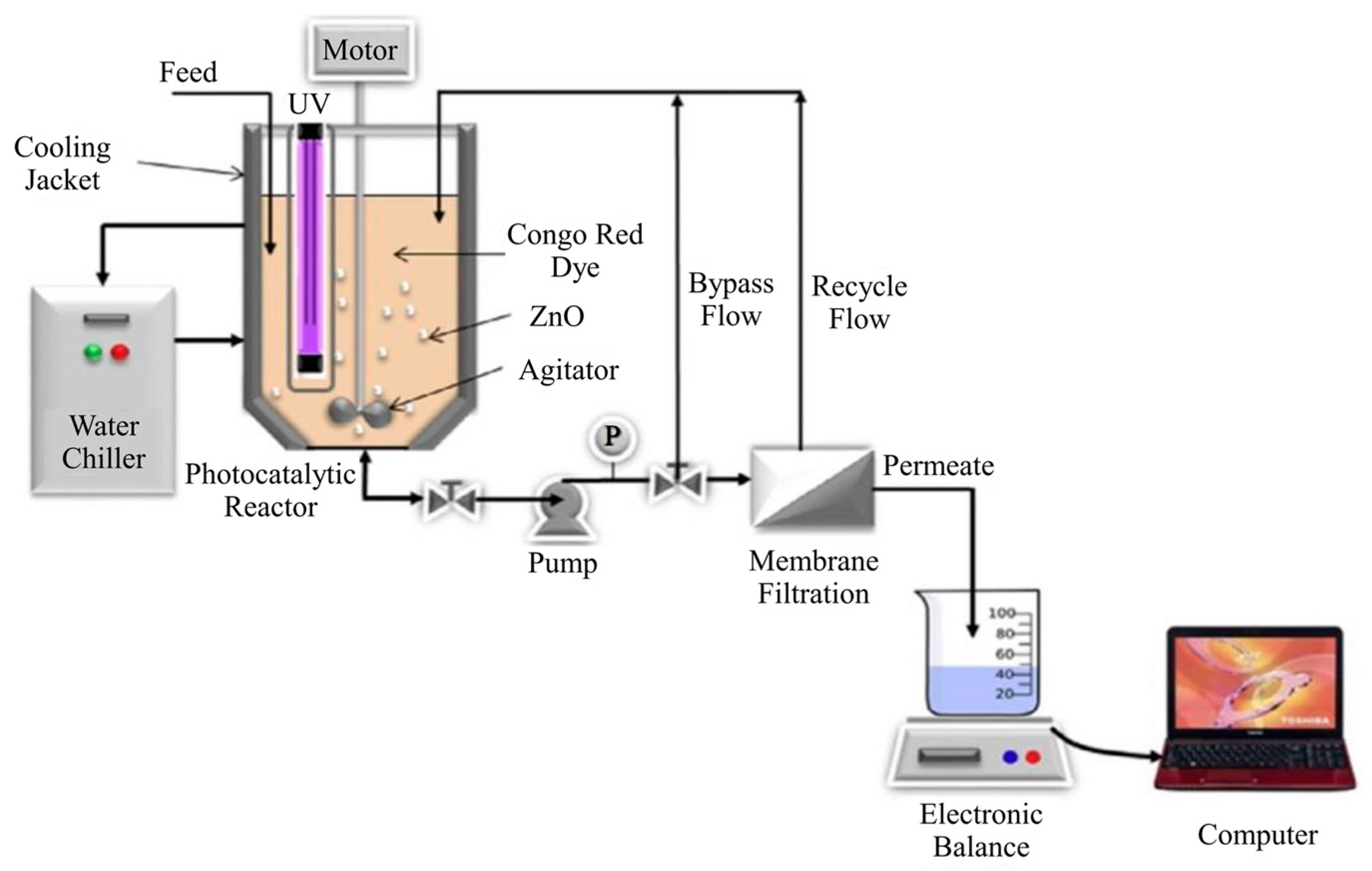 Catalysts 07 00224 g007