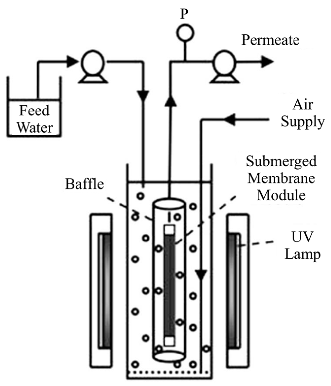 Catalysts 07 00224 g011