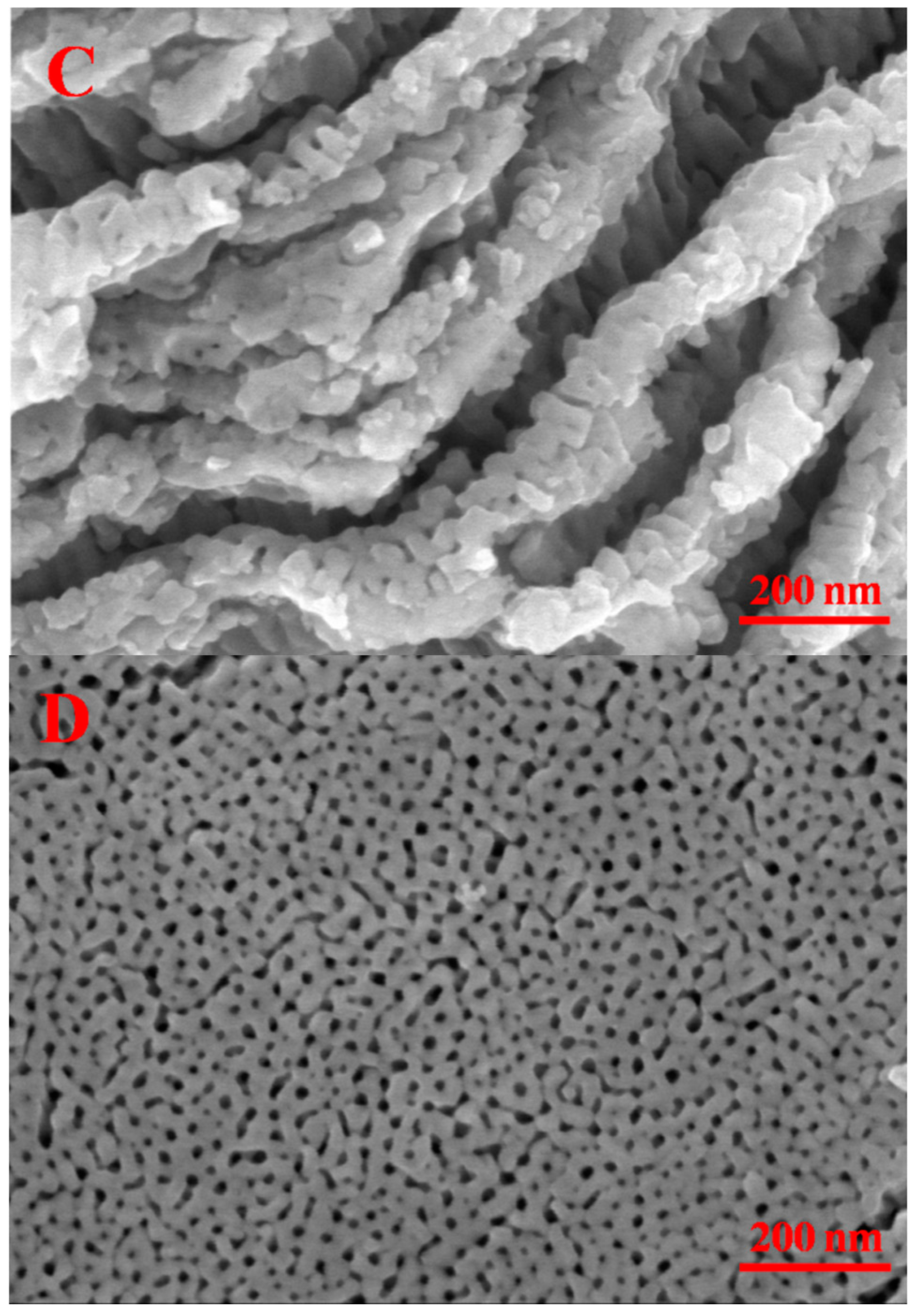 Catalysts 07 00229 g001b