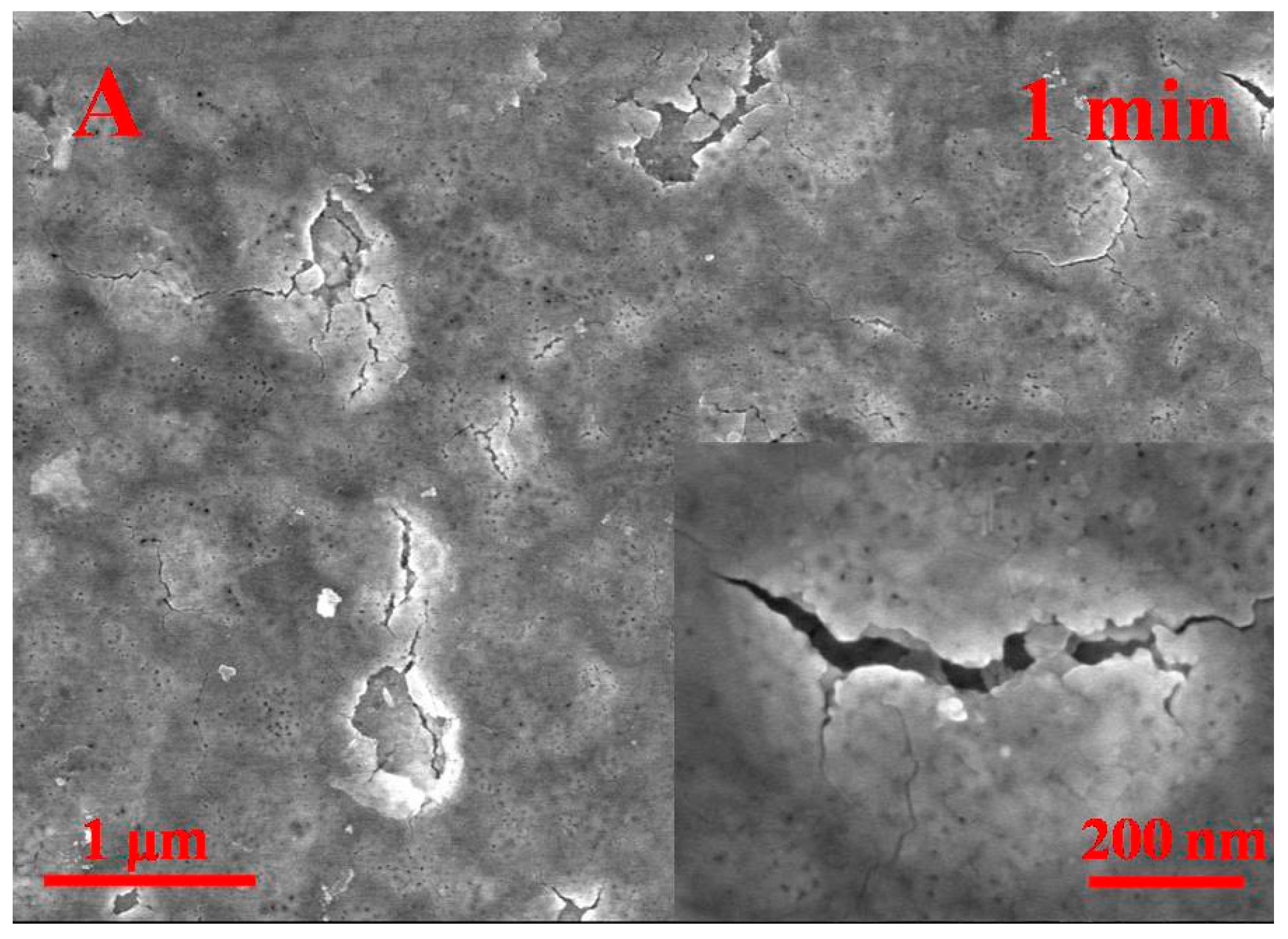 Catalysts 07 00229 g002a