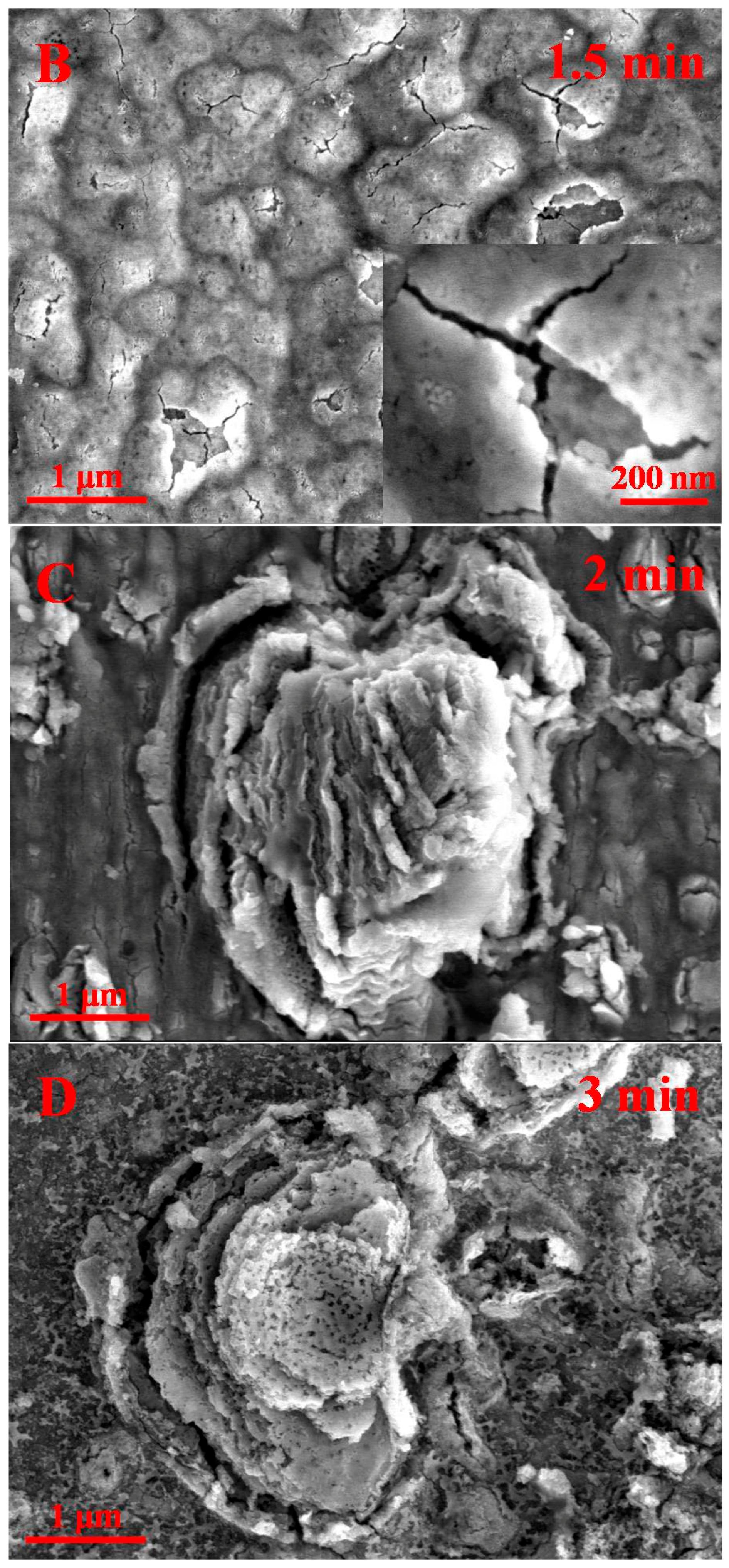Catalysts 07 00229 g002b