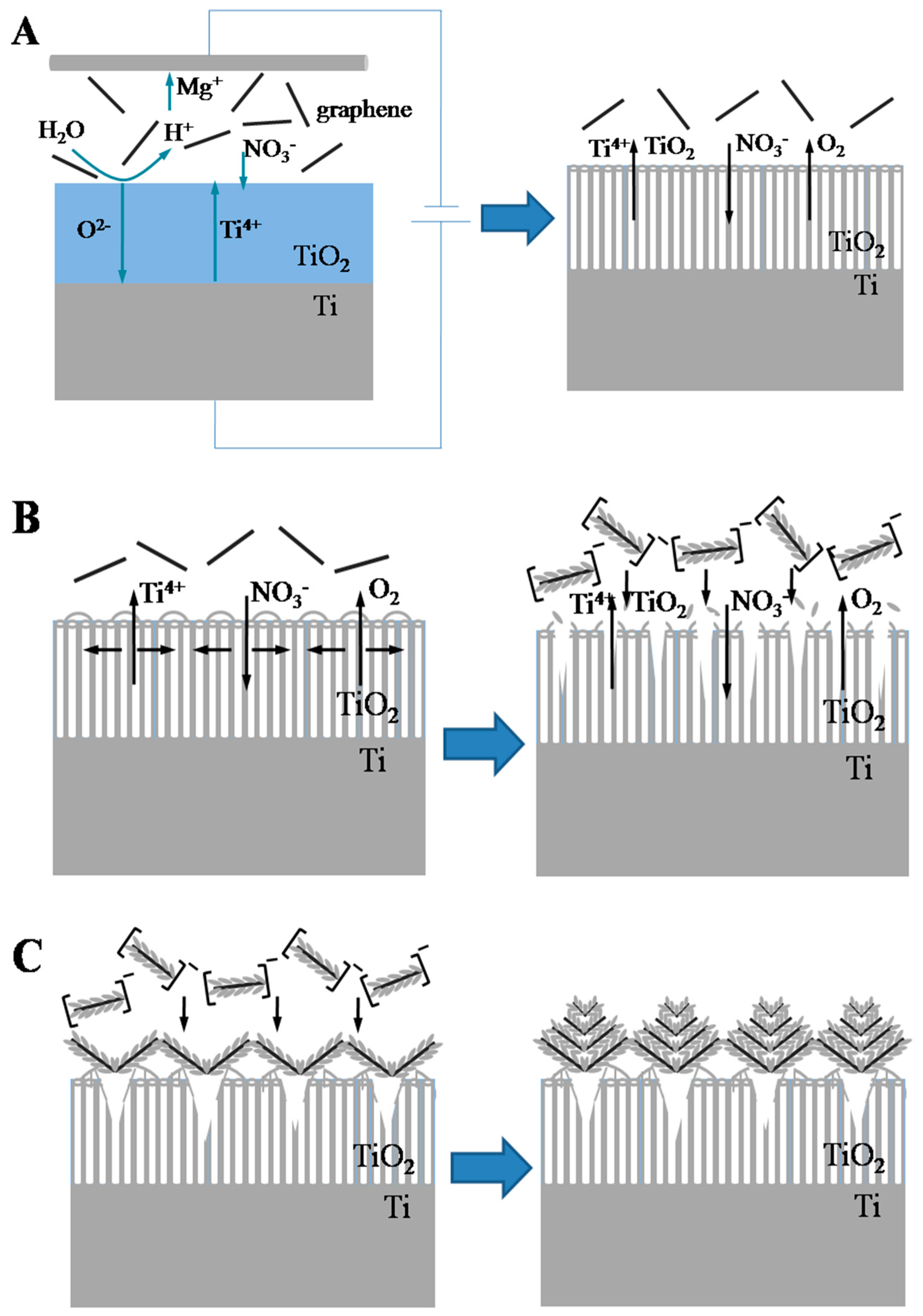 Catalysts 07 00229 g003a