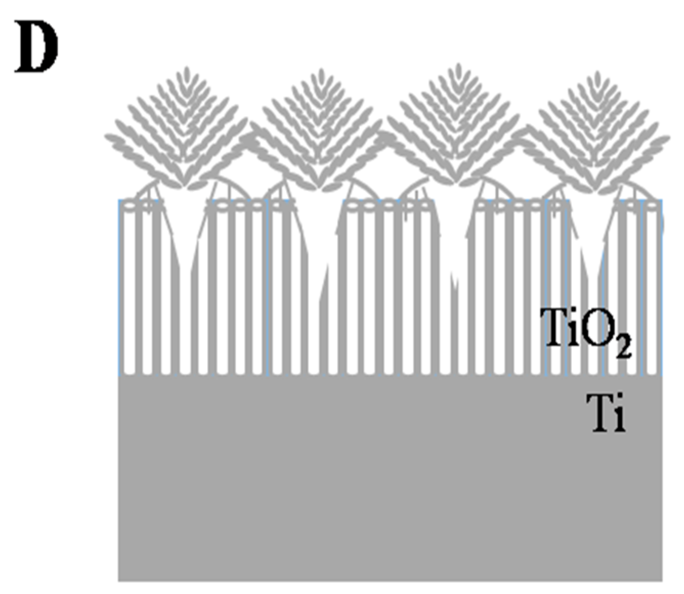 Catalysts 07 00229 g003b