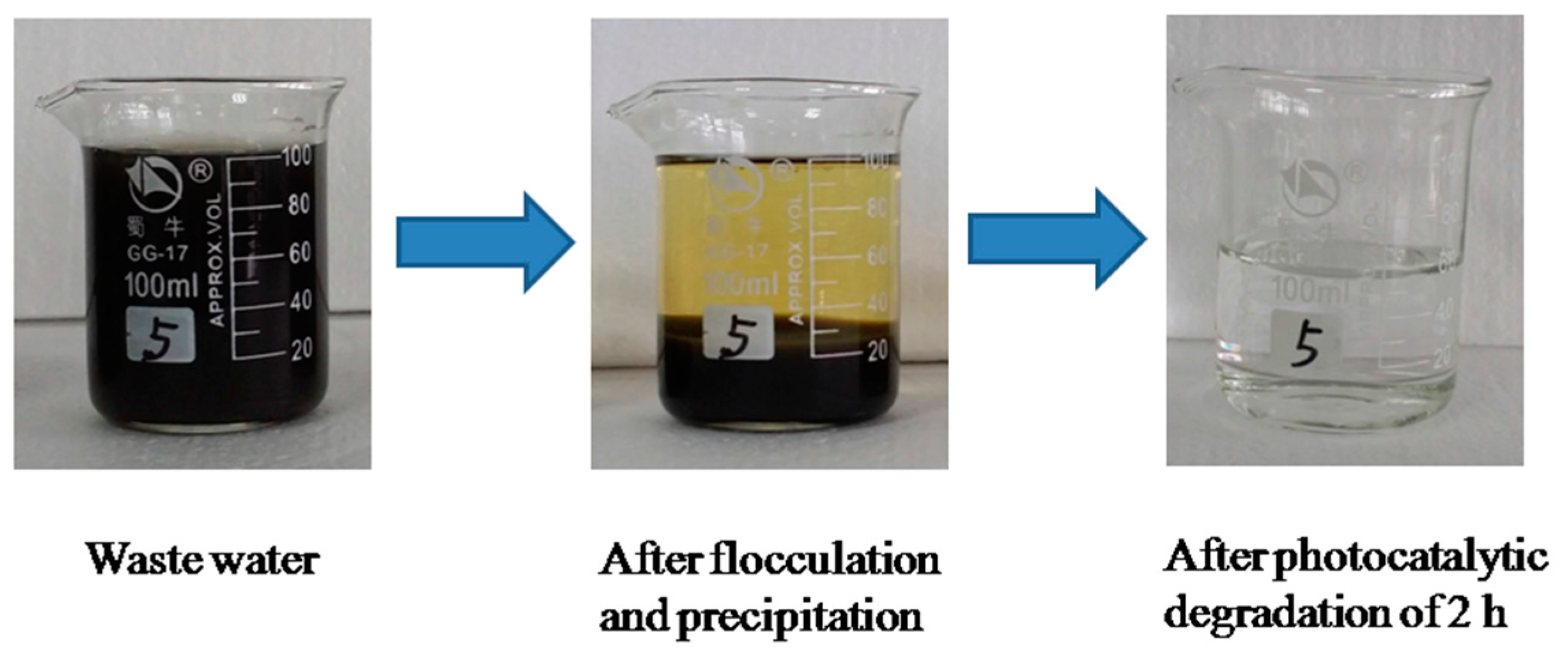 Catalysts 07 00229 g007