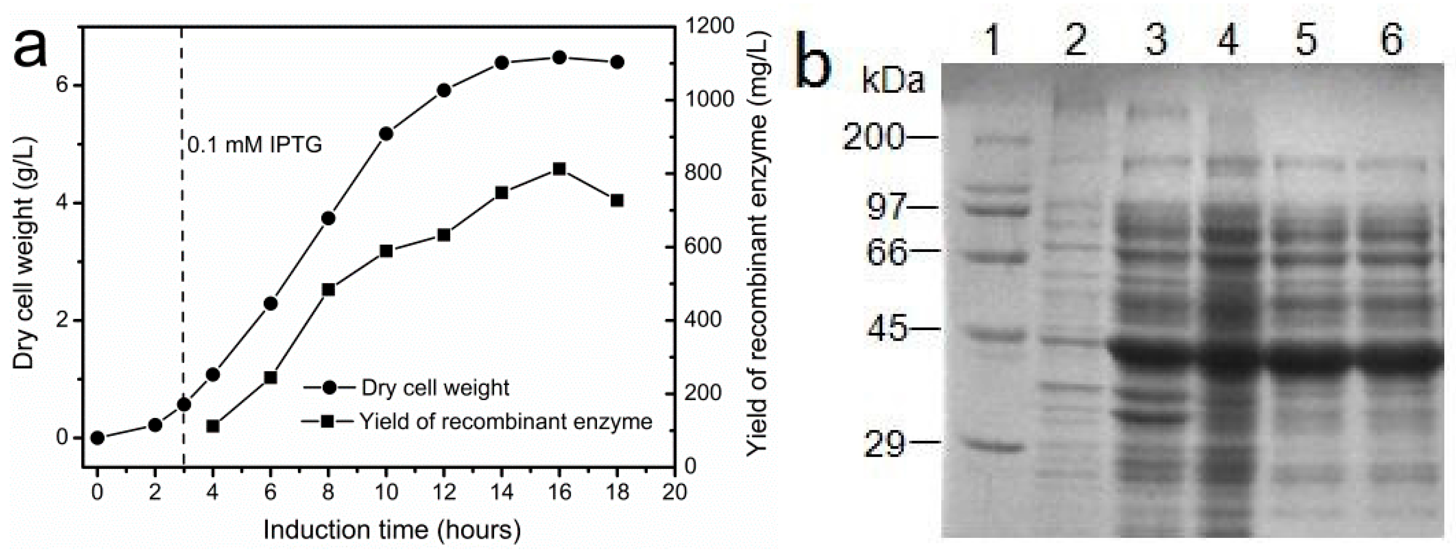 Catalysts 07 00238 g003