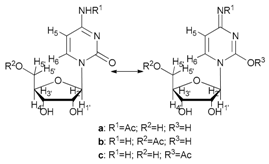 Catalysts 07 00269 i025