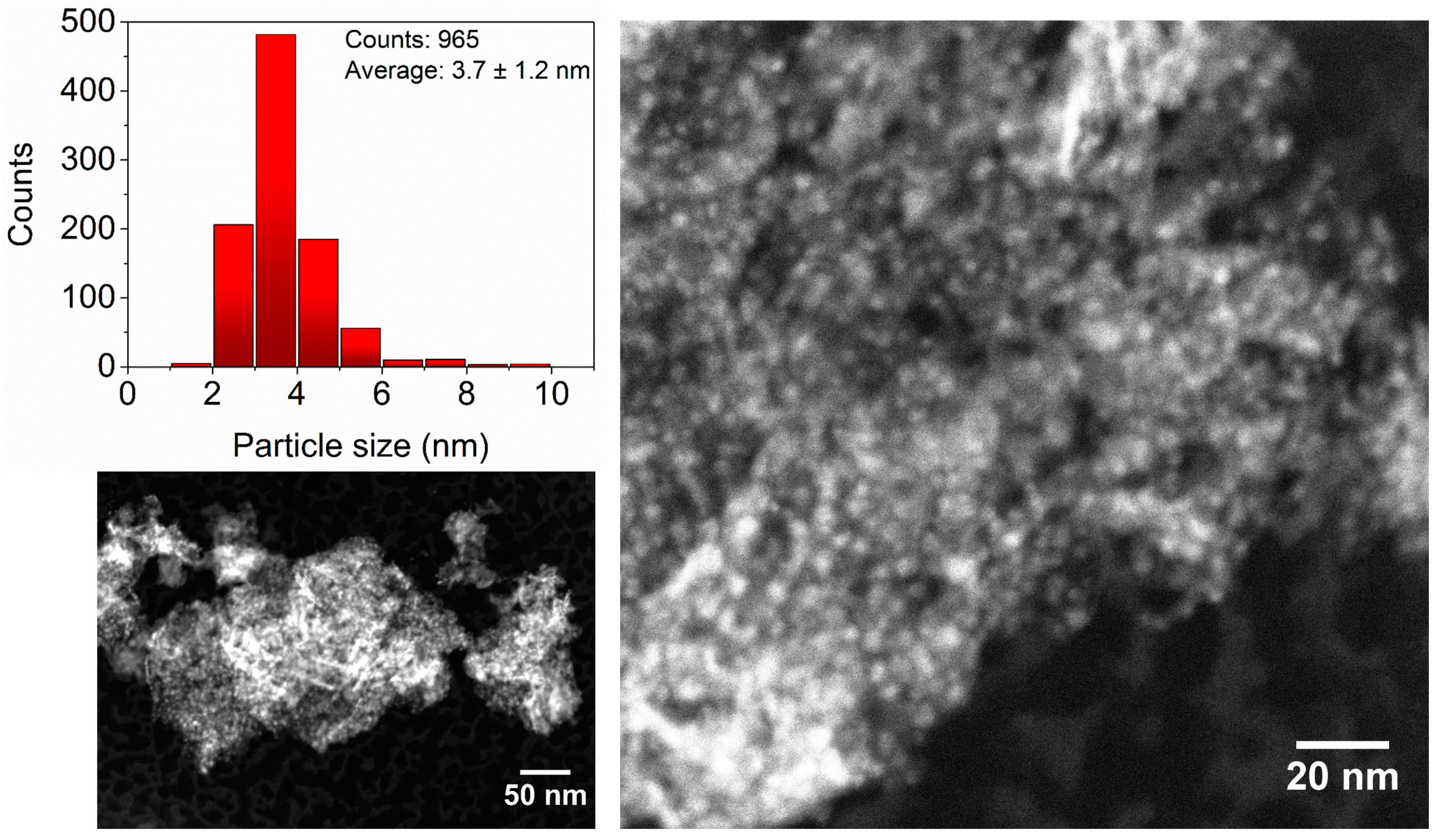 Catalysts 07 00279 g001
