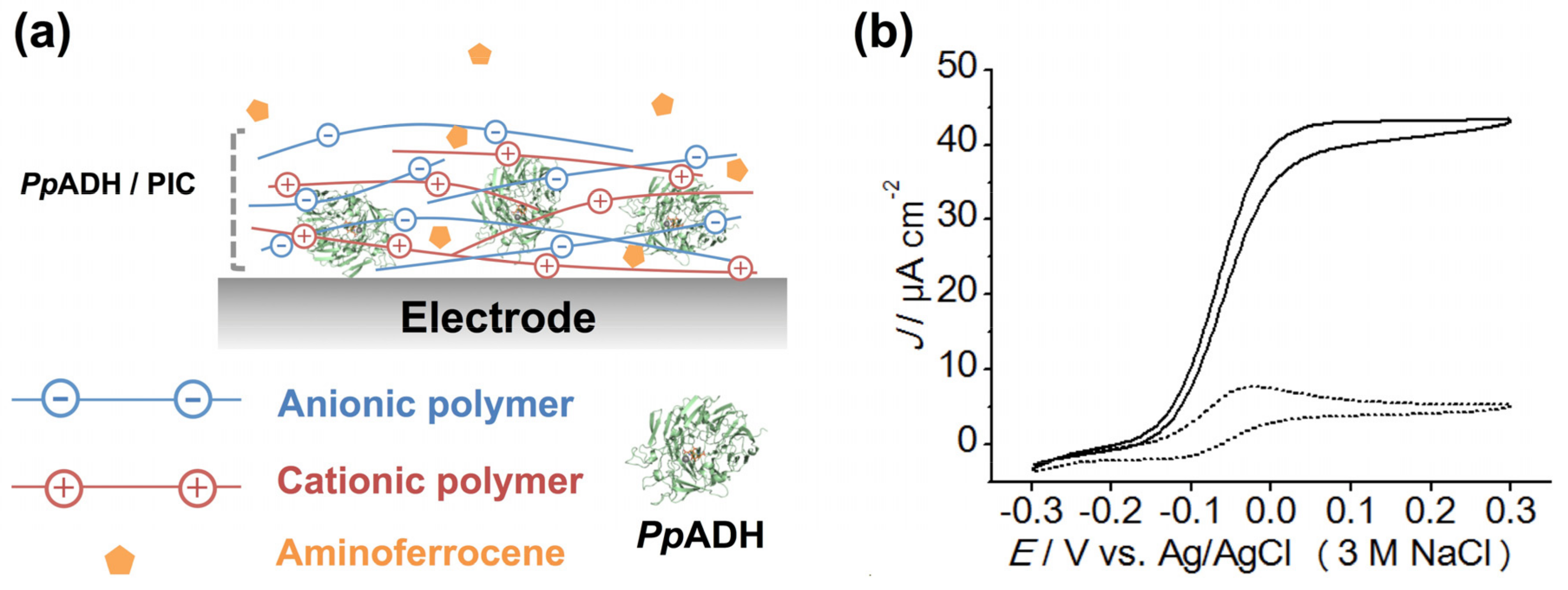 Catalysts 07 00296 g002 550
