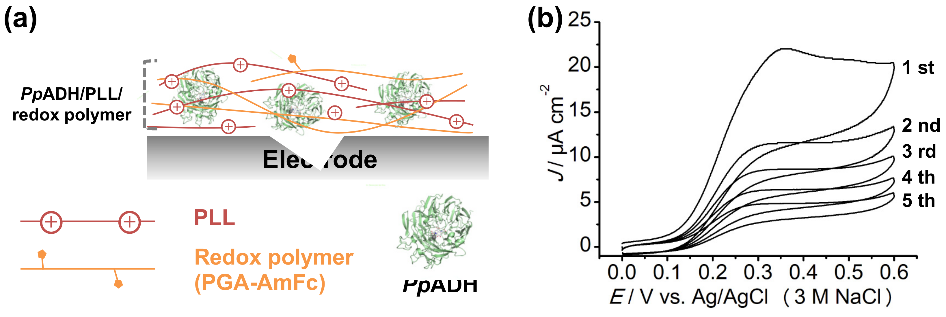 Catalysts 07 00296 g006 550