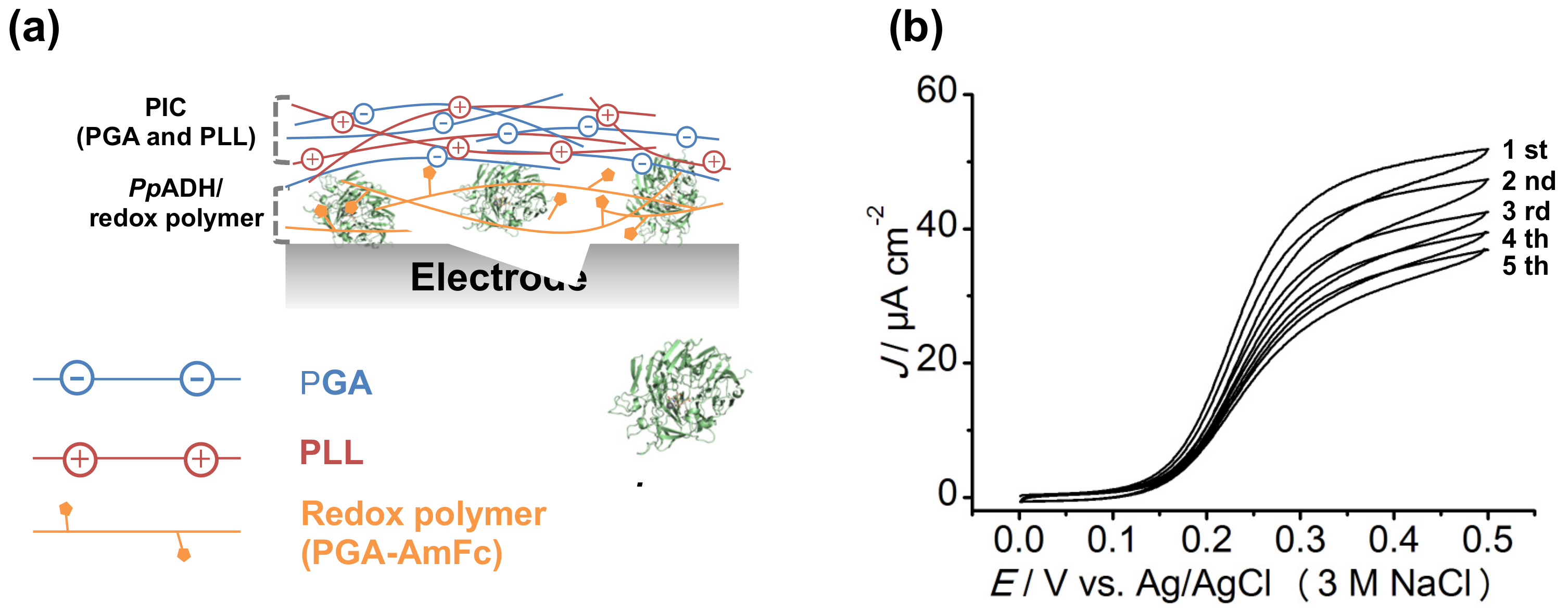 Catalysts 07 00296 g007 550