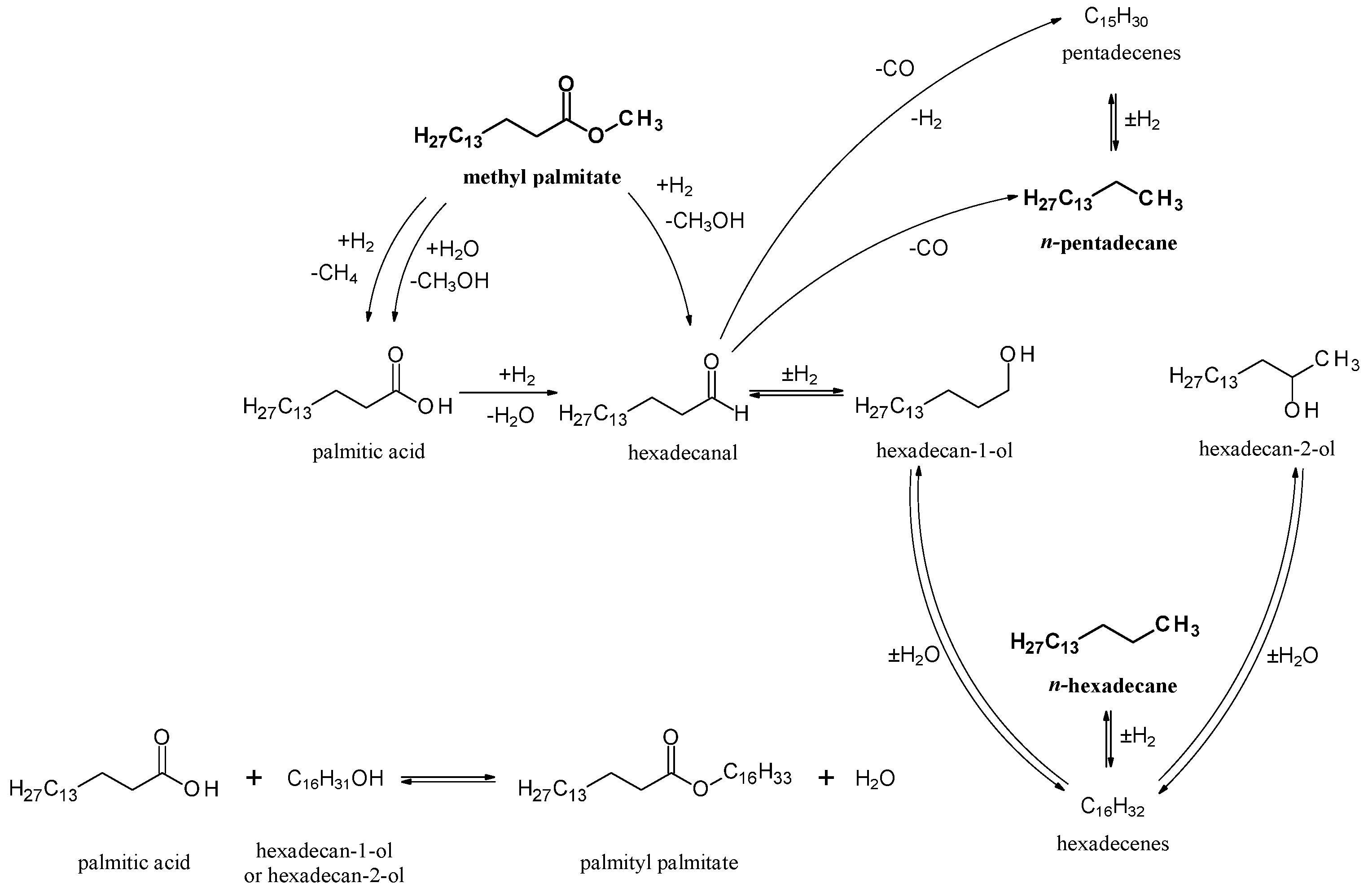 Catalysts 07 00298 g005