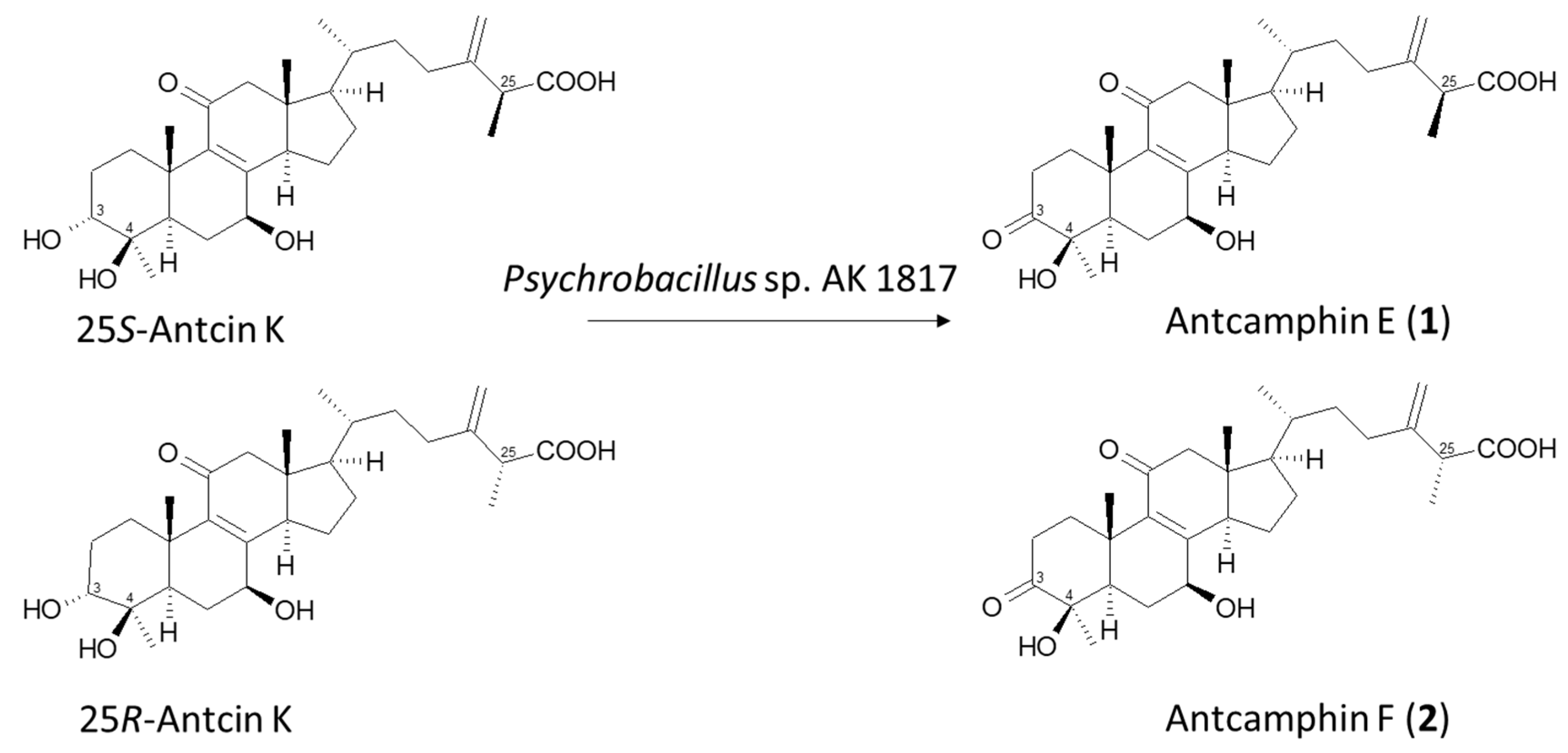 Catalysts 07 00299 g003