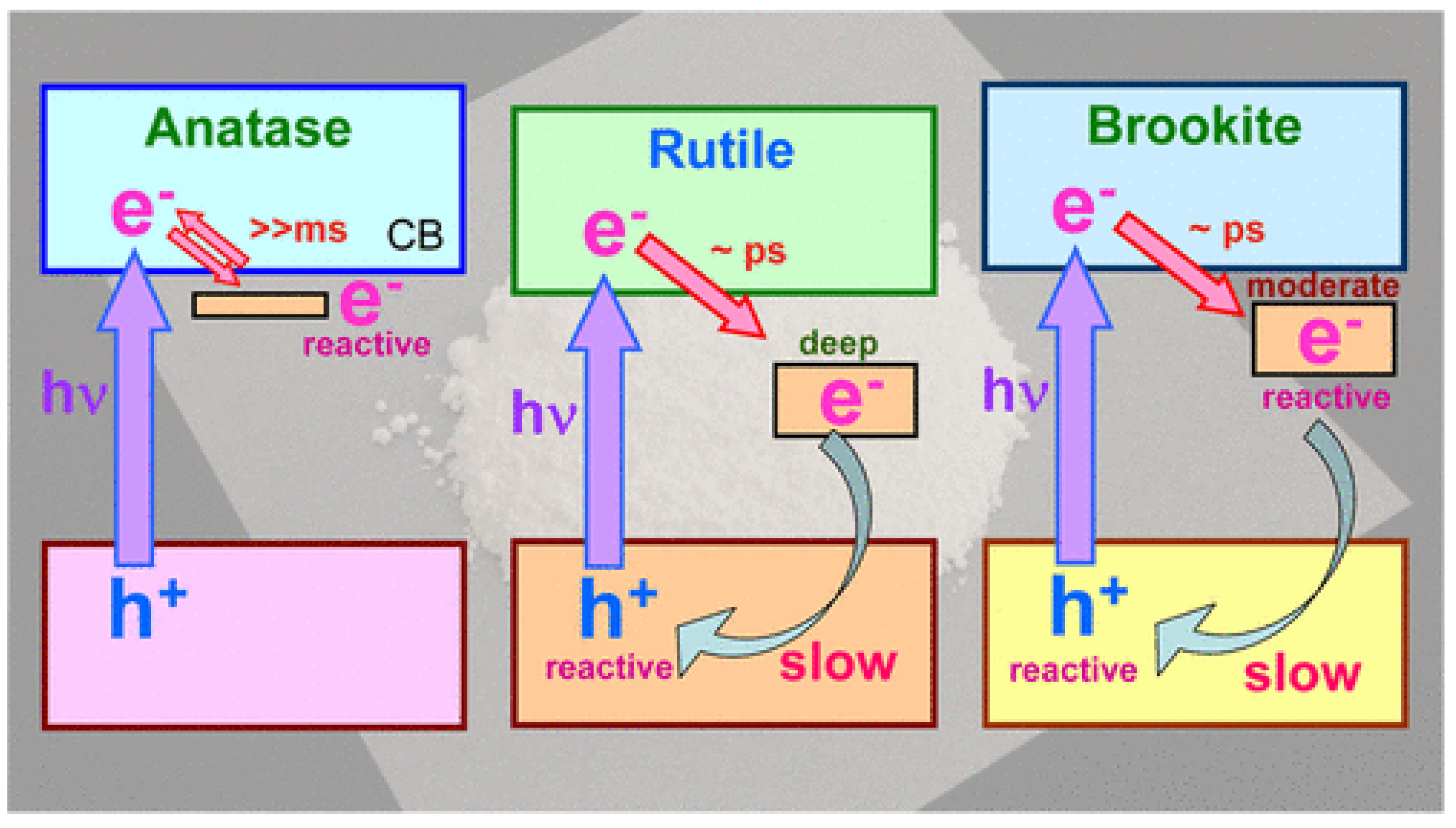 Catalysts 07 00304 g003