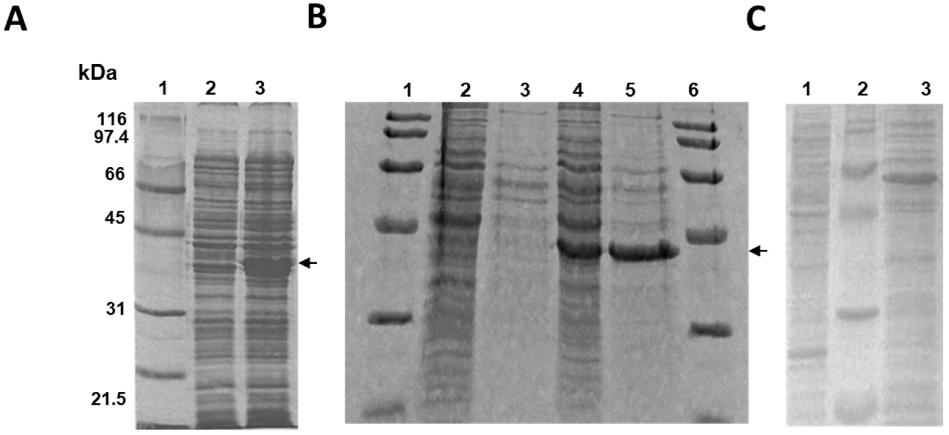 Catalysts 07 00316 g001a