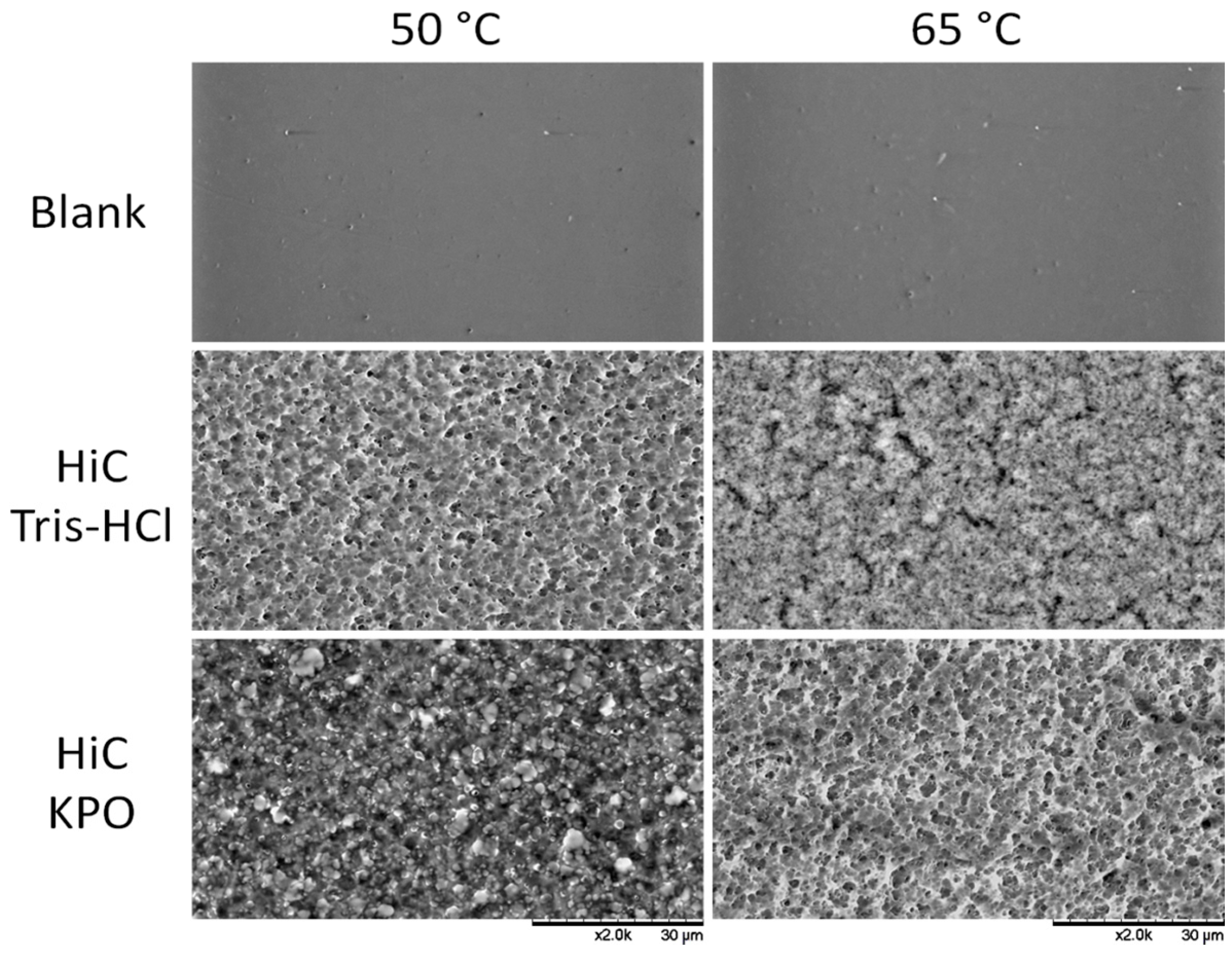 Catalysts 07 00318 g005