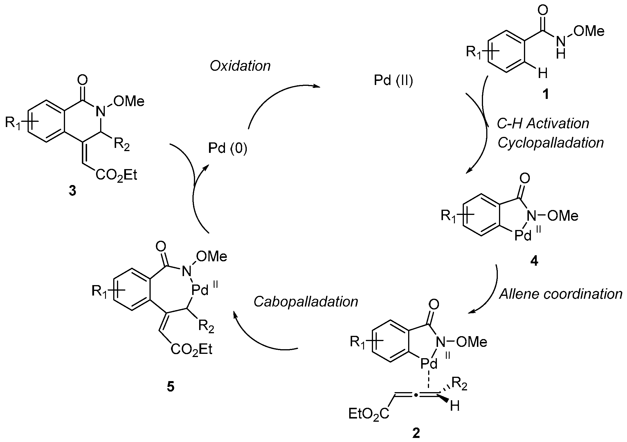 Catalysts 07 00320 sch003 550